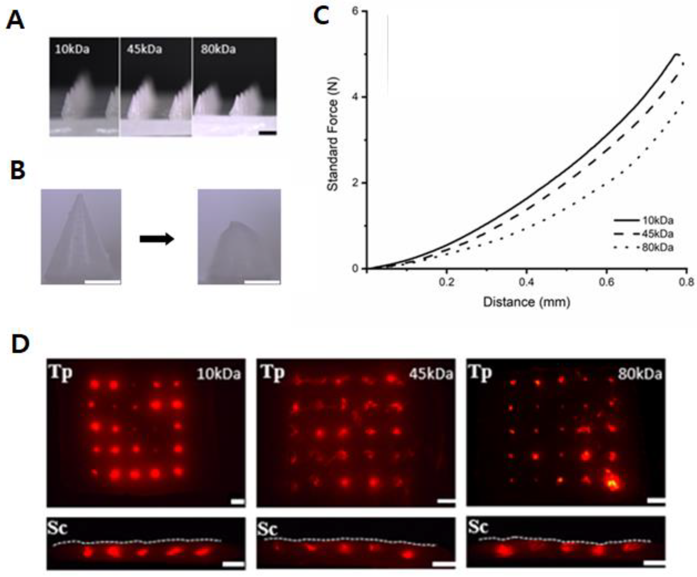Micromachines 12 00167 g002 Micromachines 12 00167 g002