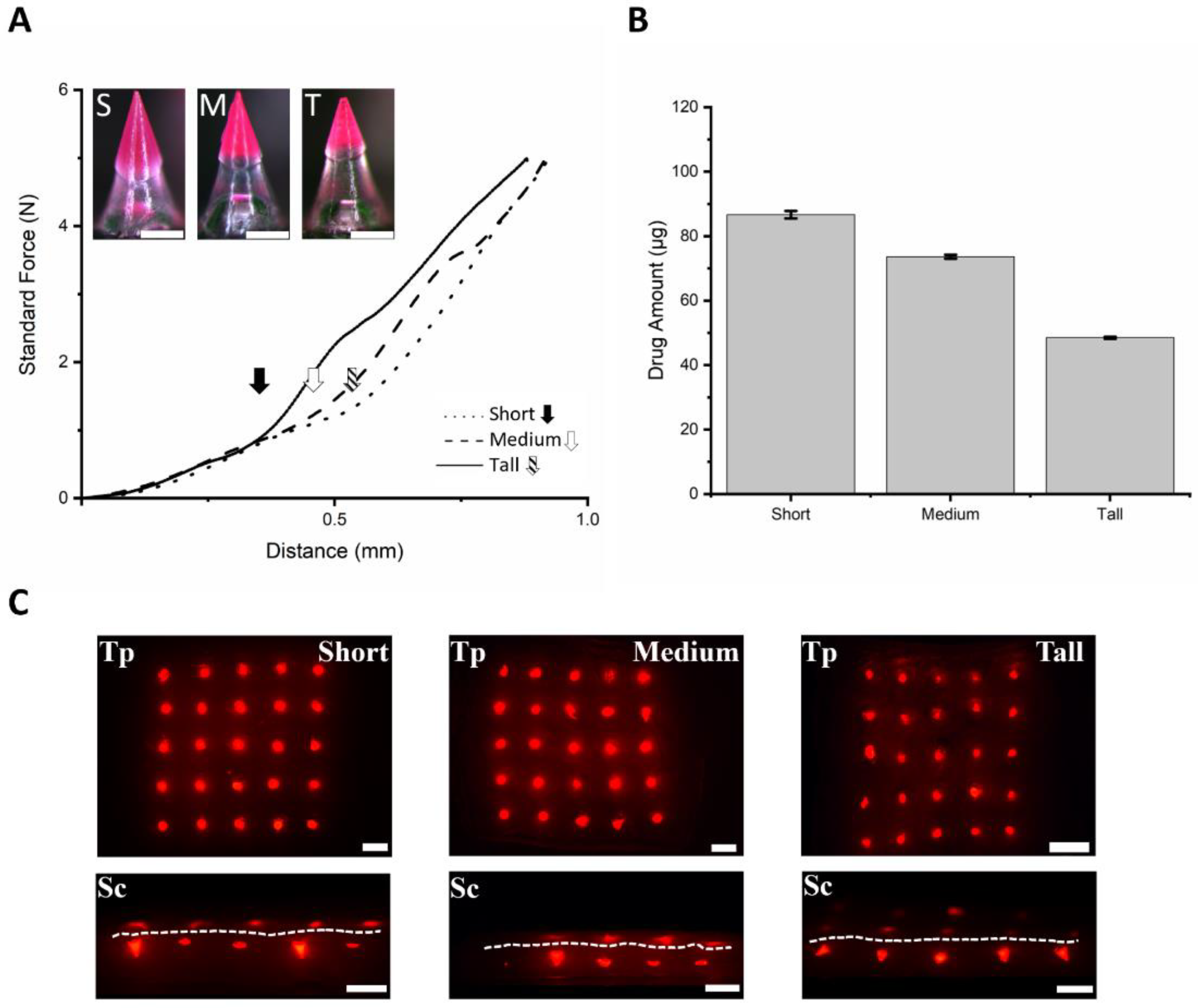 Micromachines 12 00167 g005 Micromachines 12 00167 g005