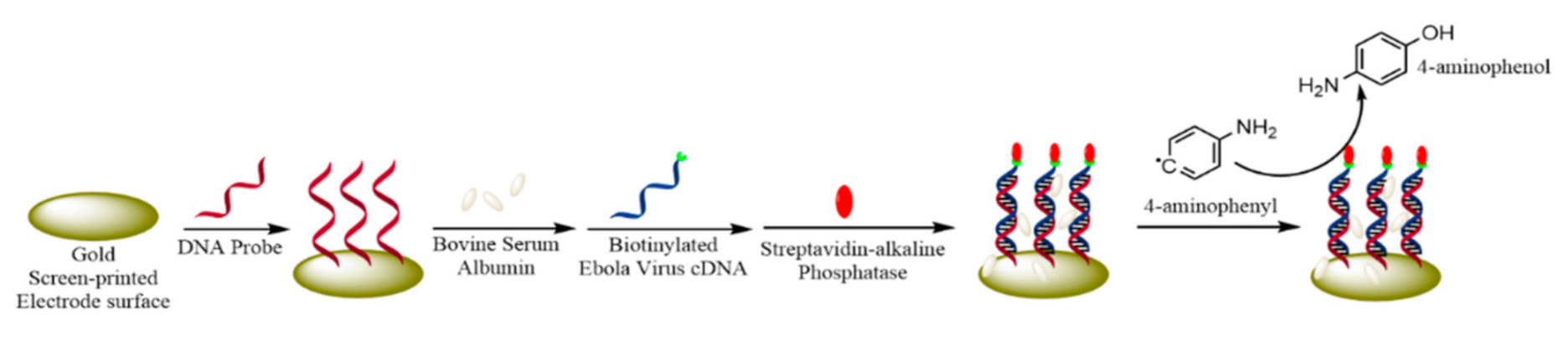 Micromachines 12 00174 g004 Micromachines 12 00174 g004