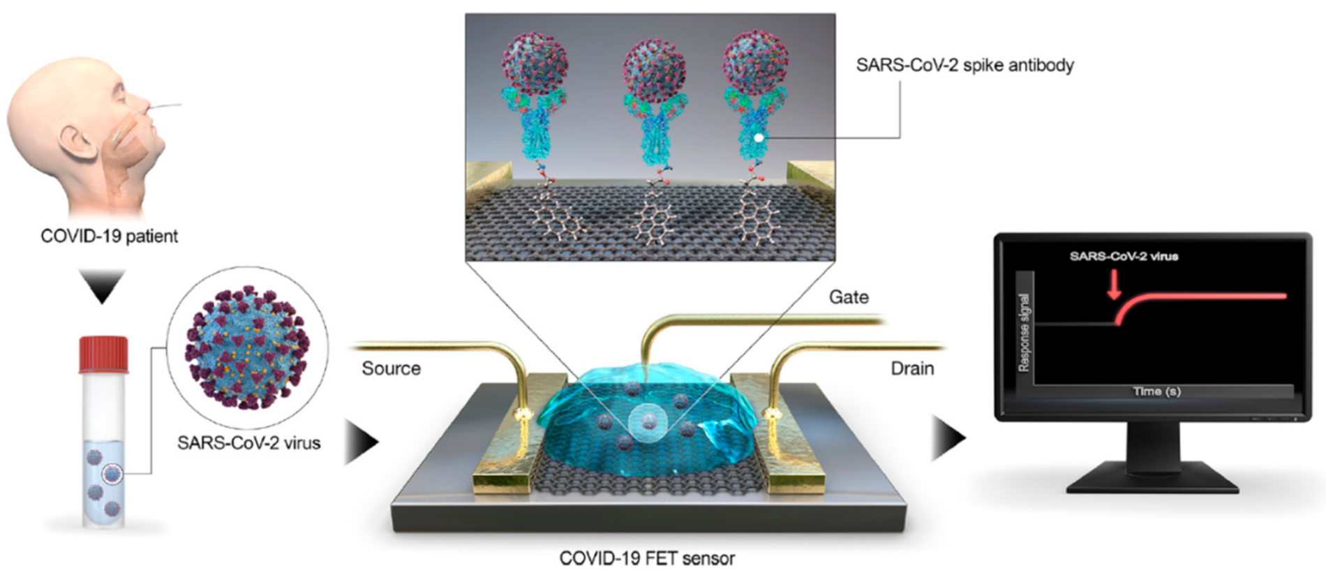 Micromachines Free Full Text Electrochemical Biosensors For The Detection Of Sars Cov 2 And Other Viruses Html Micromachines Free Full Text Electrochemical Biosensors For The Detection Of Sars Cov 2 And Other Viruses Html