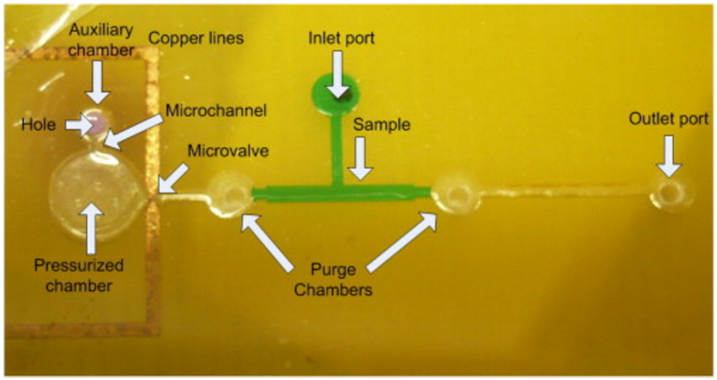 Micromachines 12 00175 g006 Micromachines 12 00175 g006