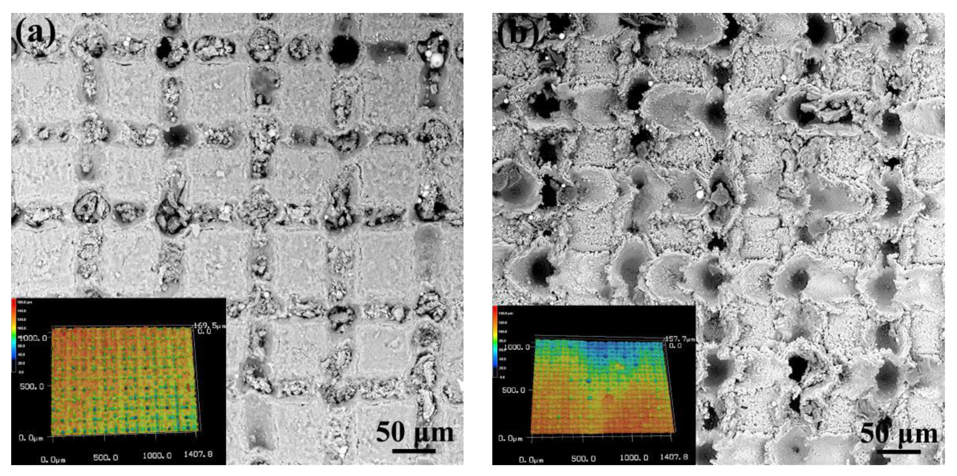 Micromachines 12 00179 g011