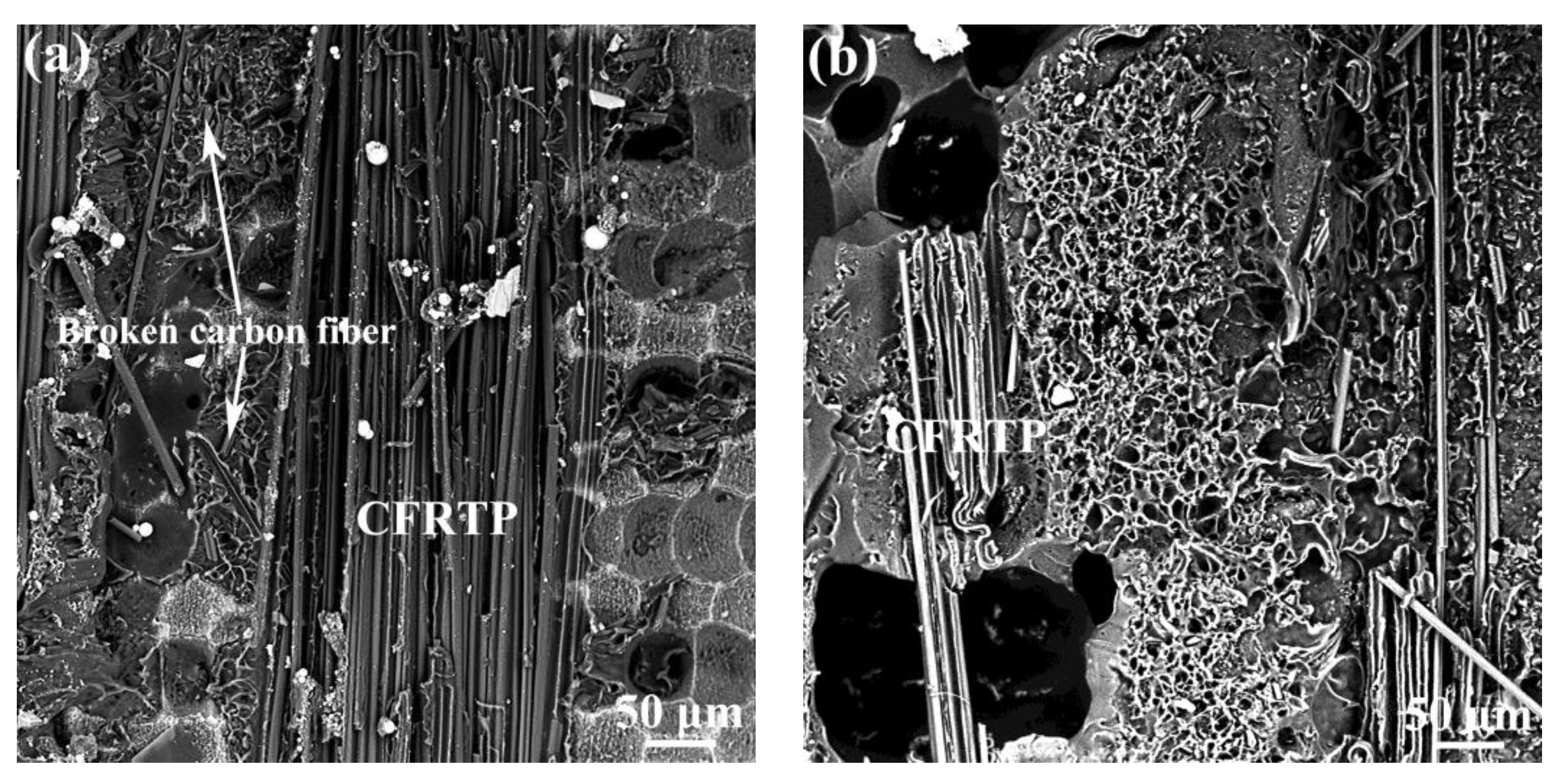 Micromachines 12 00179 g013
