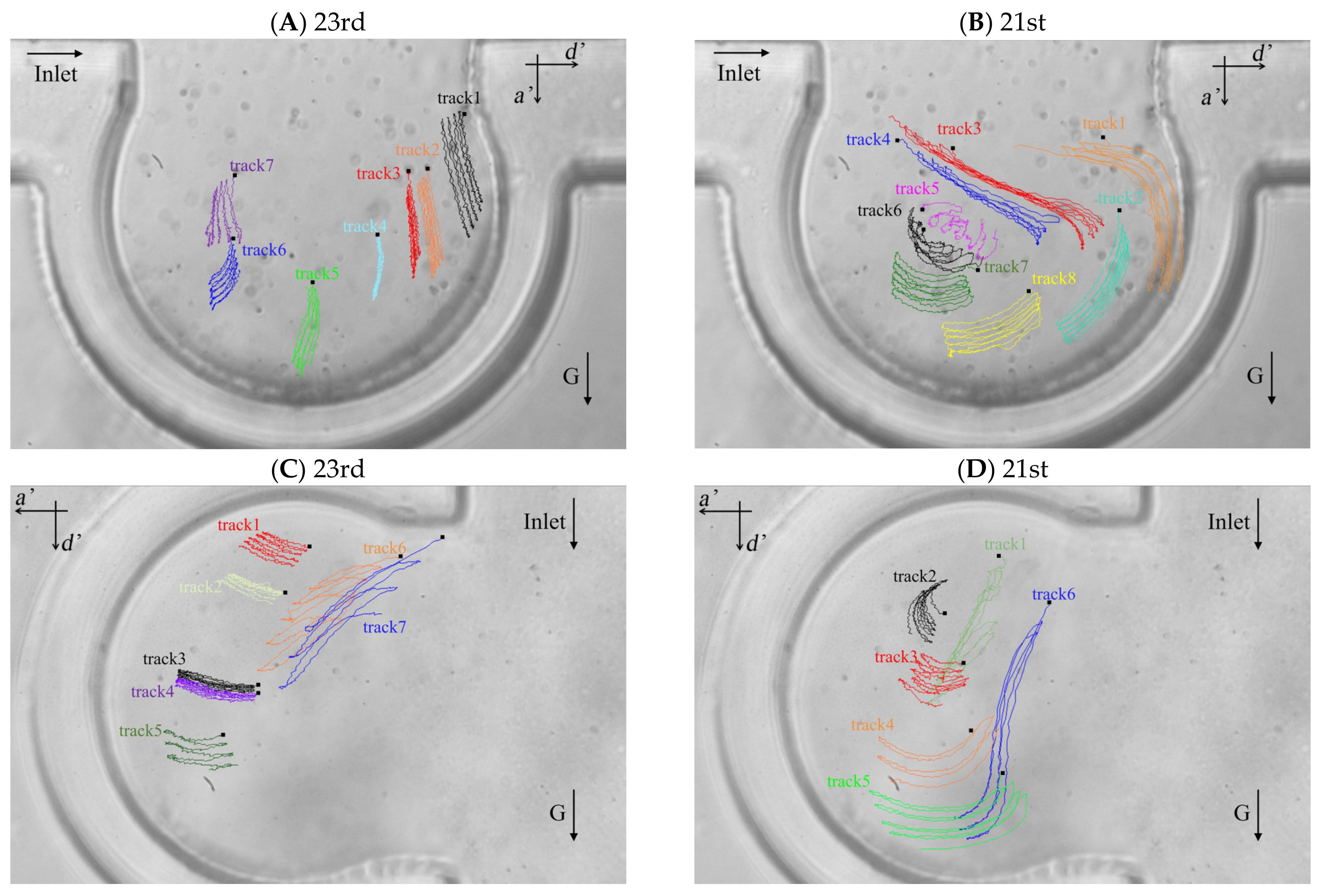 Micromachines 12 00184 g004 Micromachines 12 00184 g004