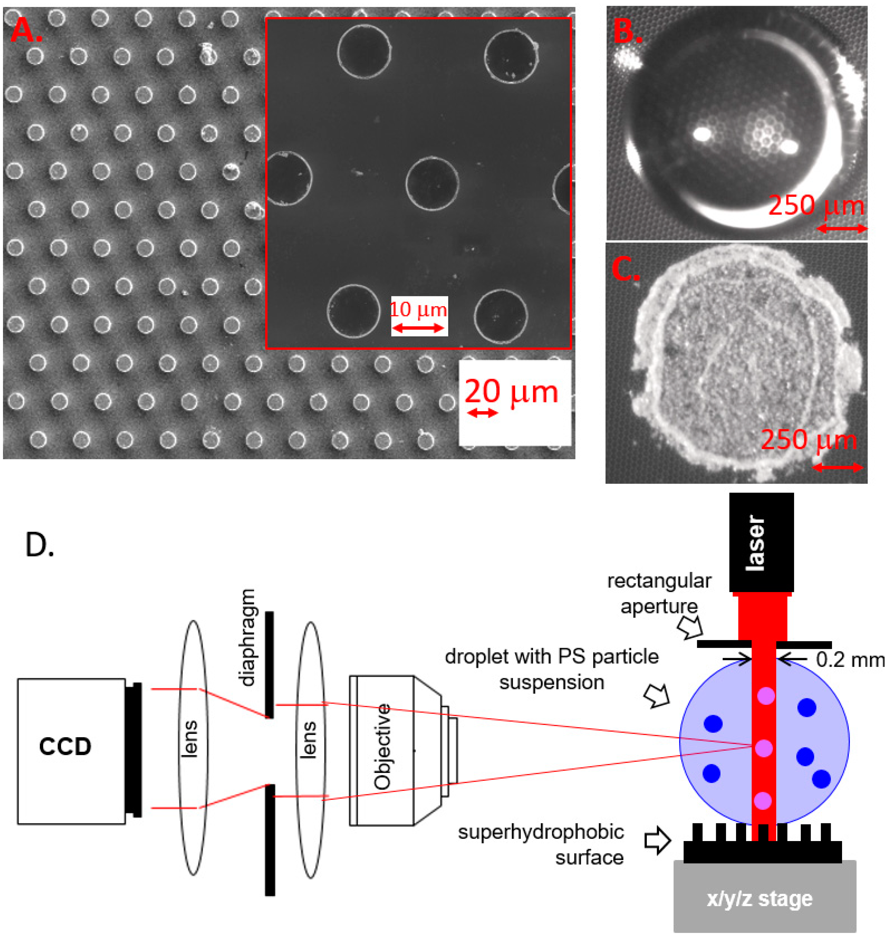 Micromachines 12 00185 g001 Micromachines 12 00185 g001