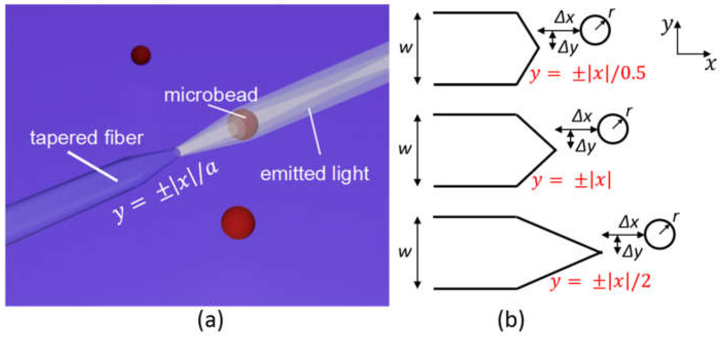 Micromachines Free Full Text Numerical And Experimental Investigation On The Optical Manipulation From An Axicon Lensed Fiber Html