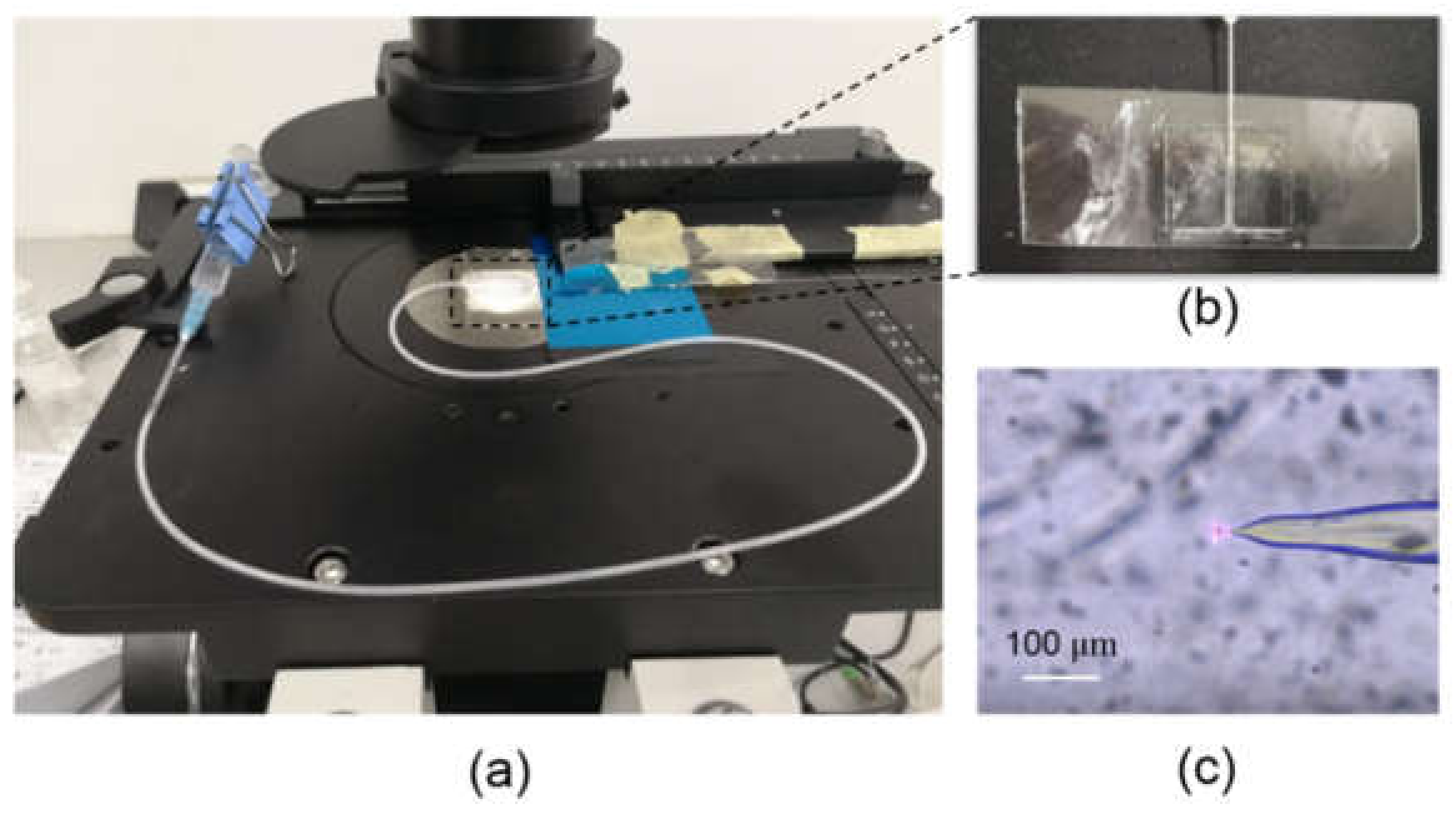 Micromachines 12 00187 g007 Micromachines 12 00187 g007