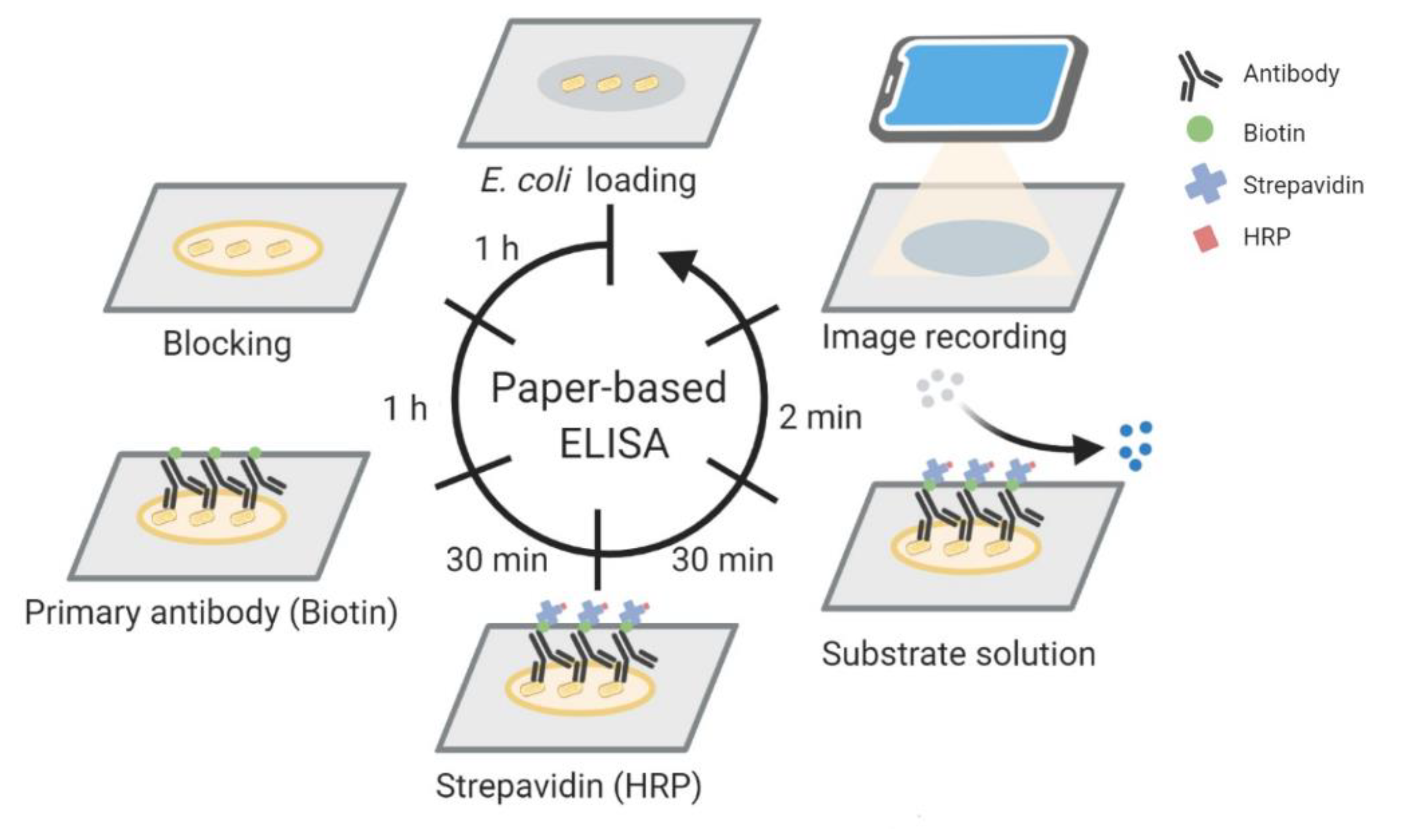 Micromachines 12 00194 g001