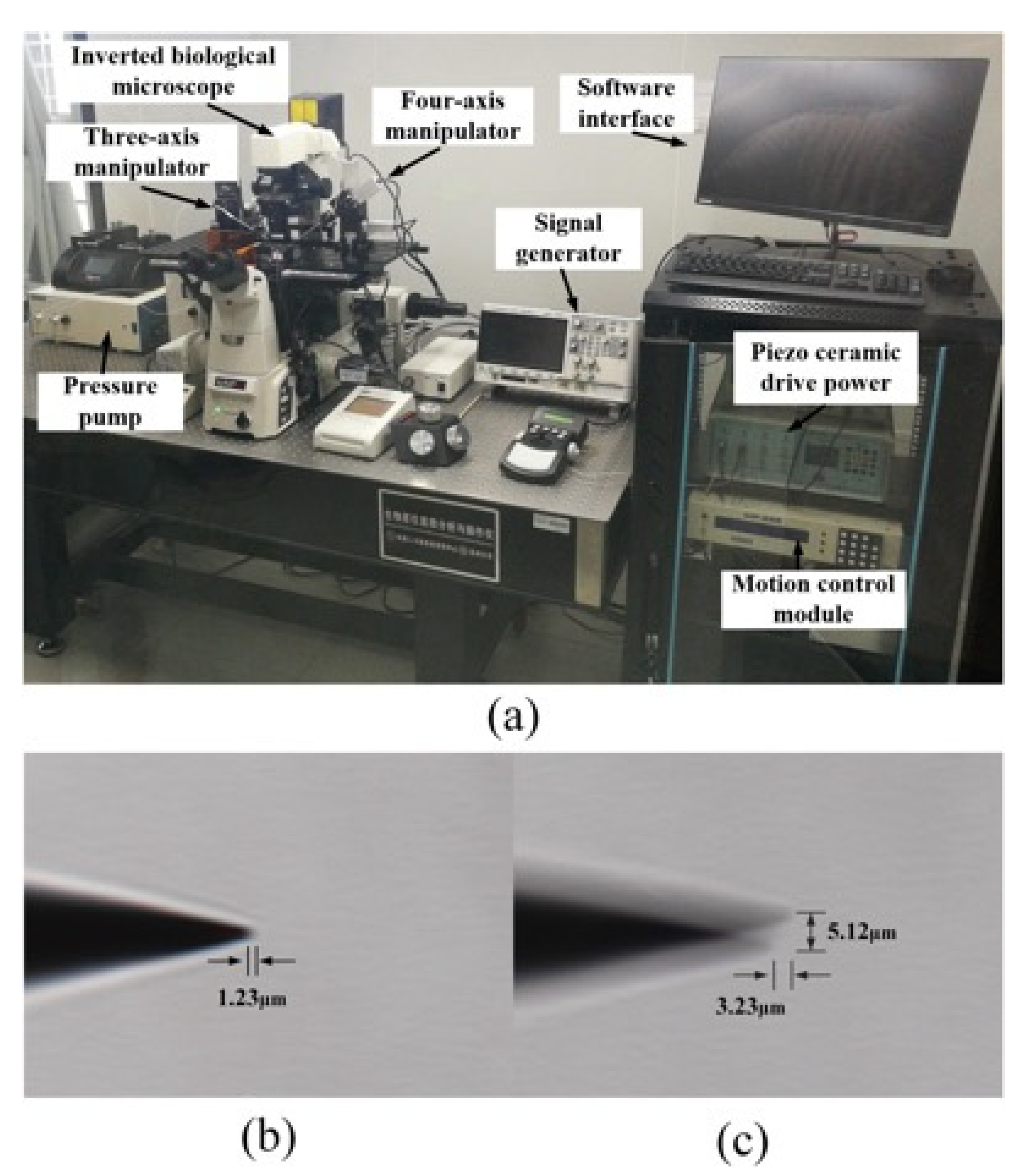 Micromachines 12 00196 g008 Micromachines 12 00196 g008