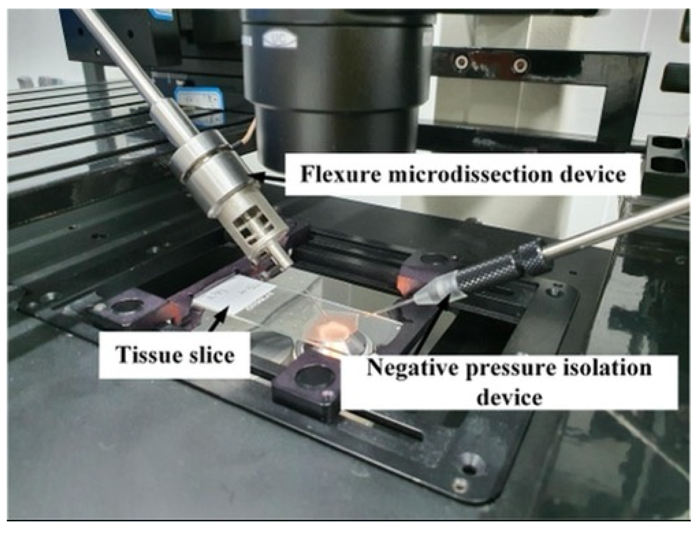 Micromachines 12 00196 g009 Micromachines 12 00196 g009
