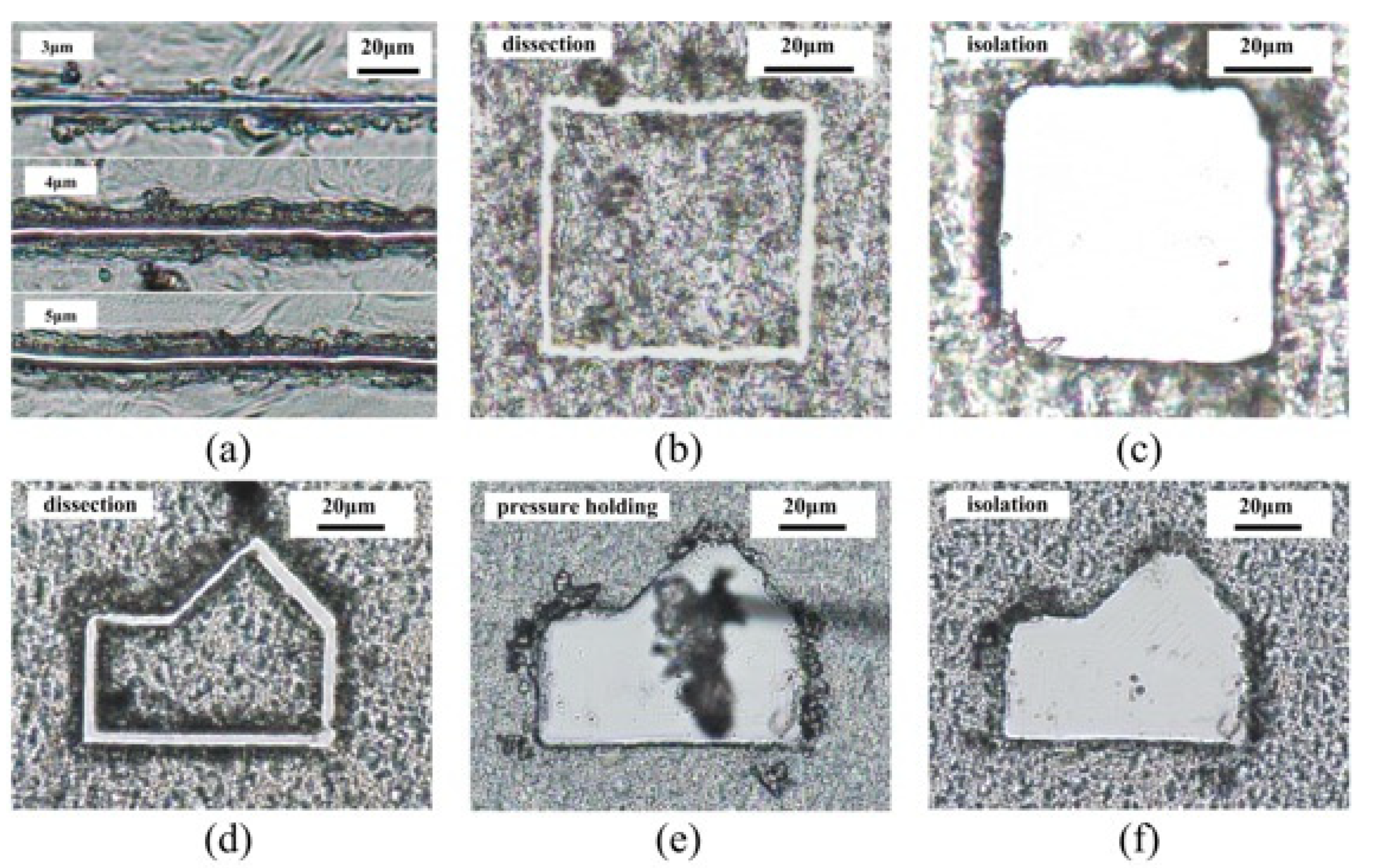 Micromachines 12 00196 g011 Micromachines 12 00196 g011