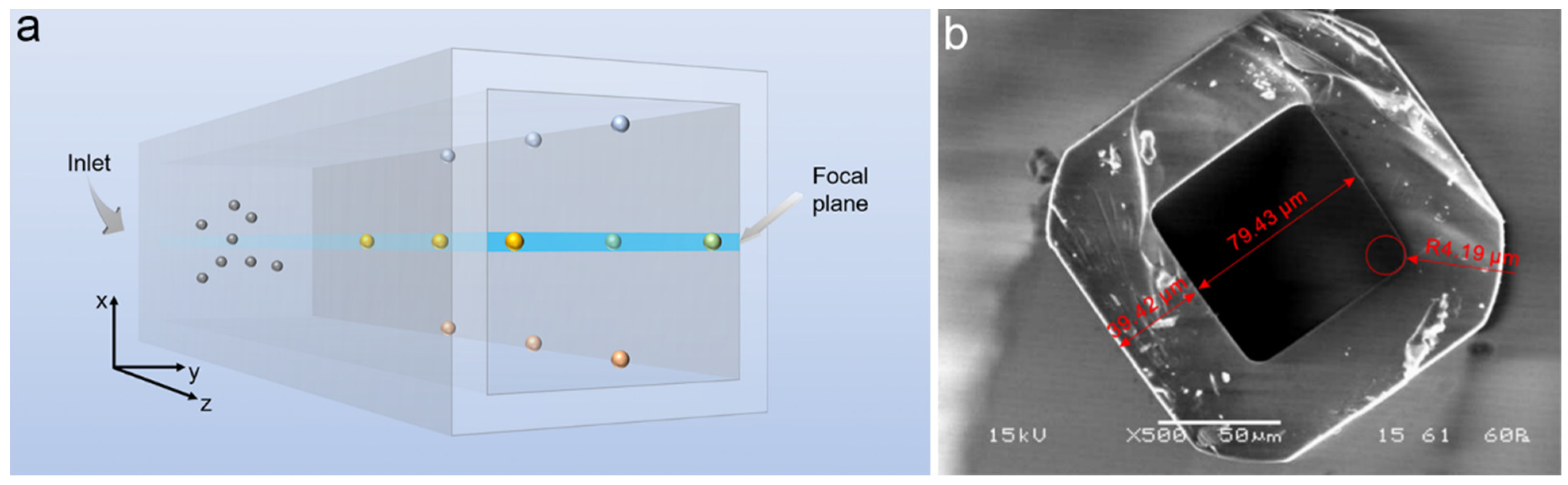 Micromachines 12 00198 g001 Micromachines 12 00198 g001