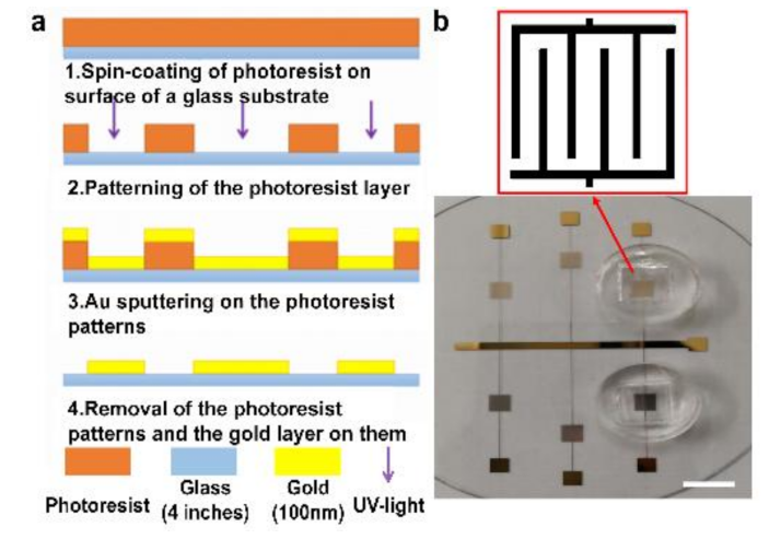 Micromachines 12 00202 g001