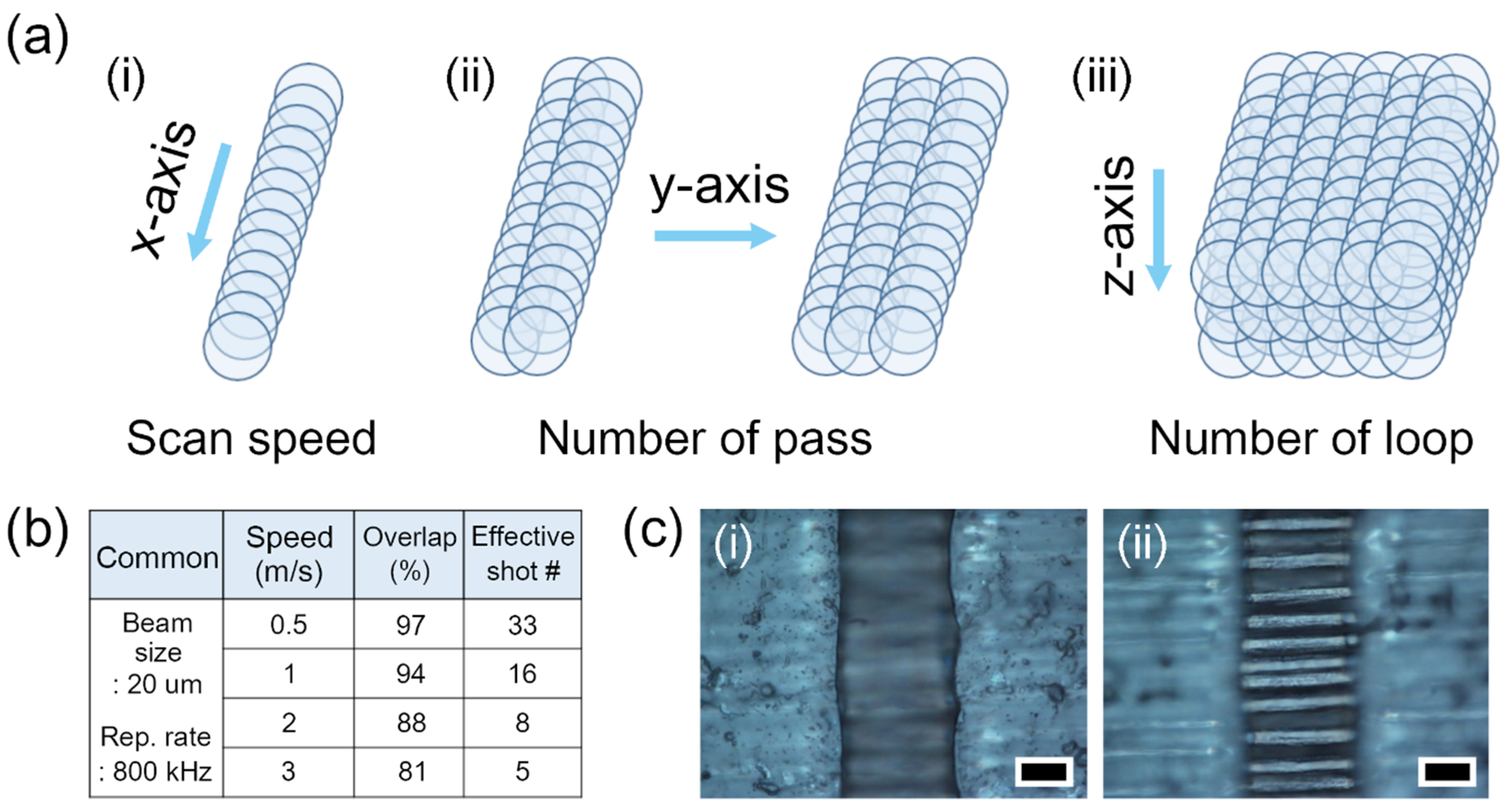 Micromachines 12 00205 g001