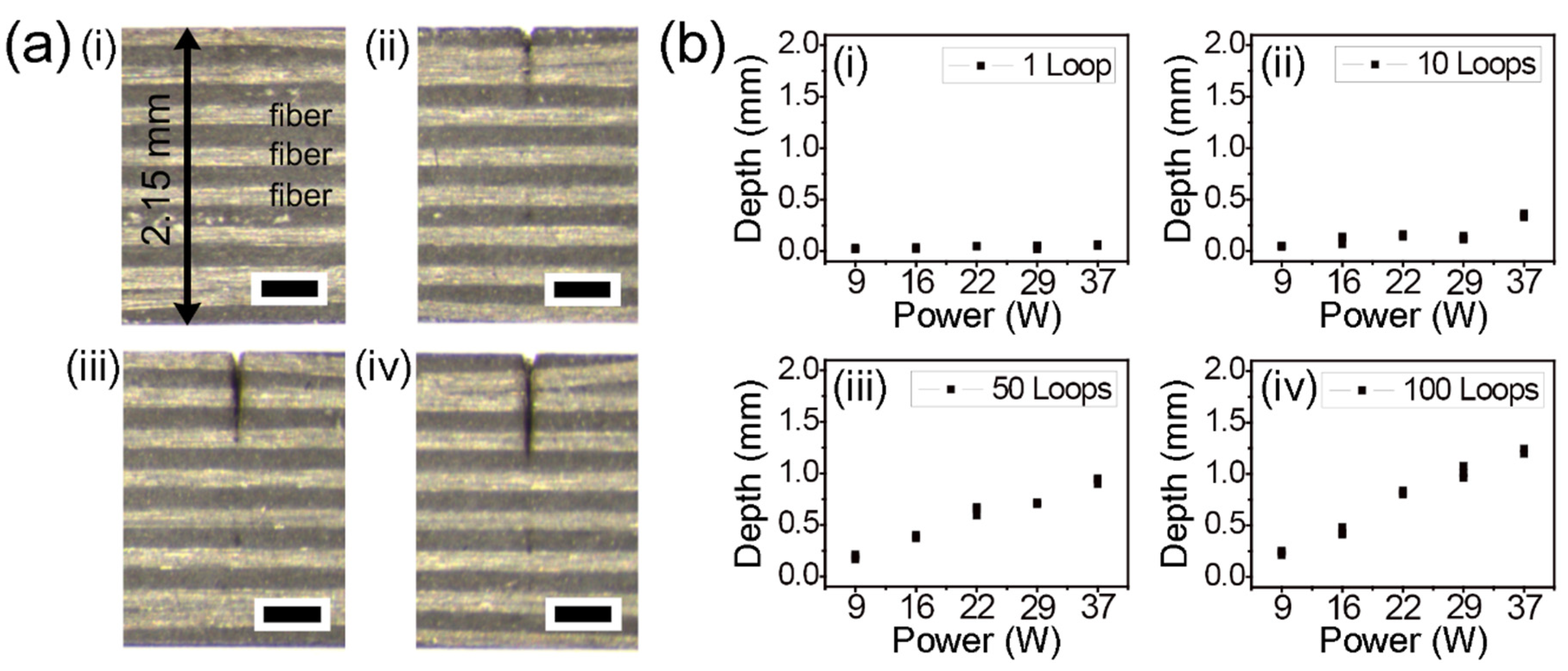 Micromachines 12 00205 g002