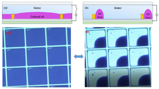 Micromachines 12 00206 g002 550