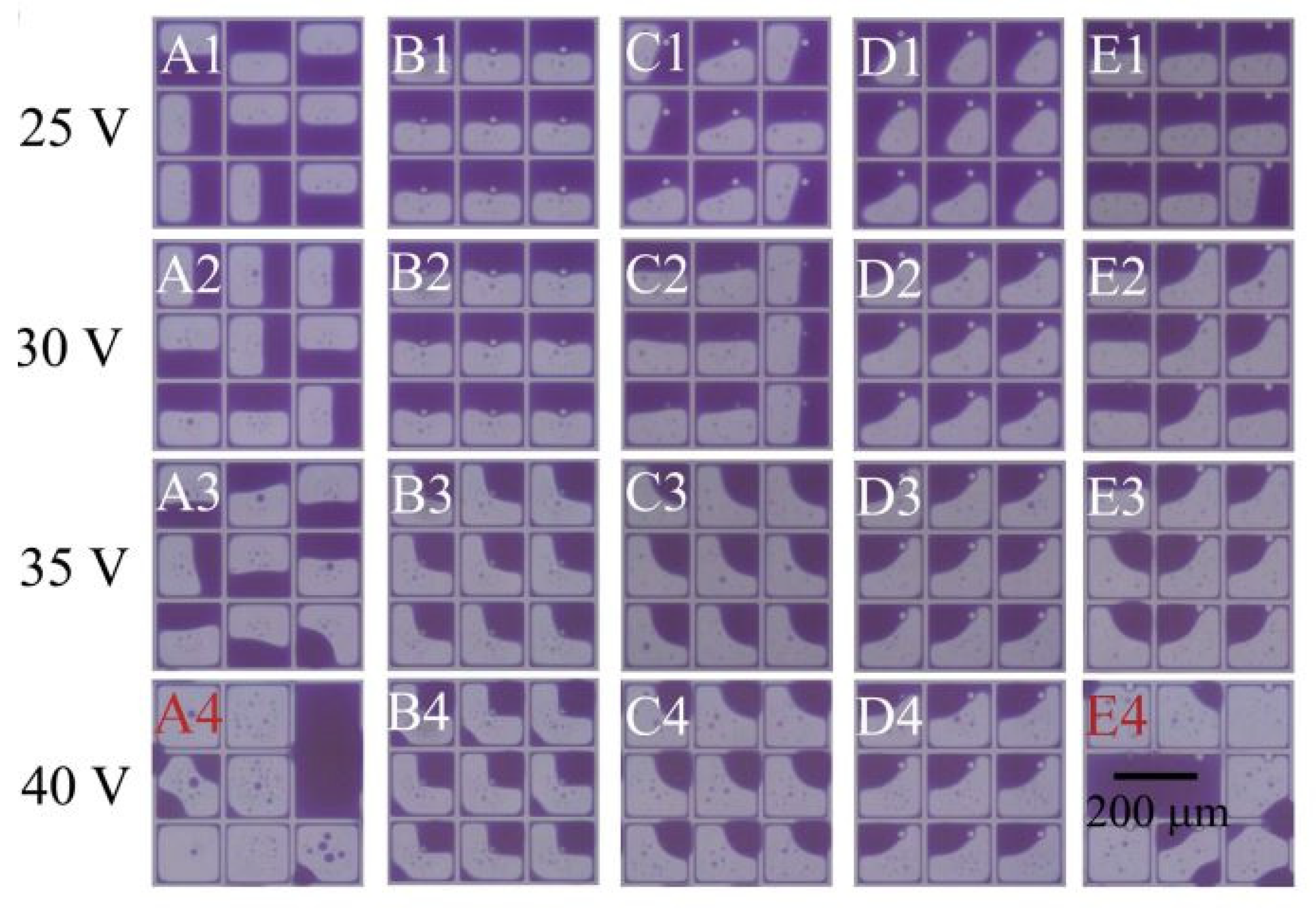 Micromachines 12 00206 g007