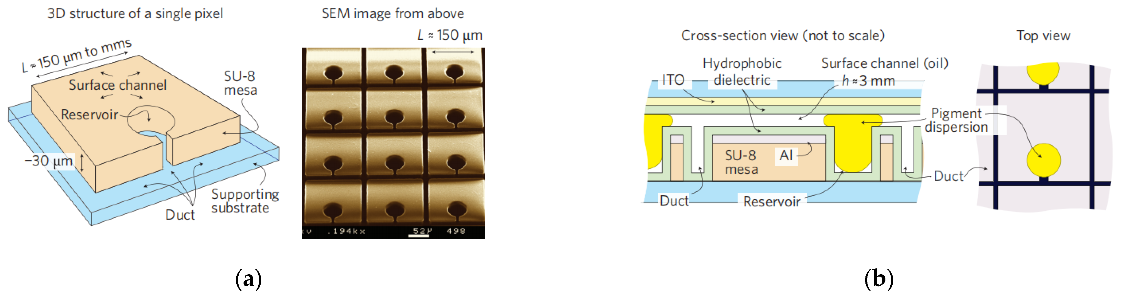Micromachines 12 00206 g009a