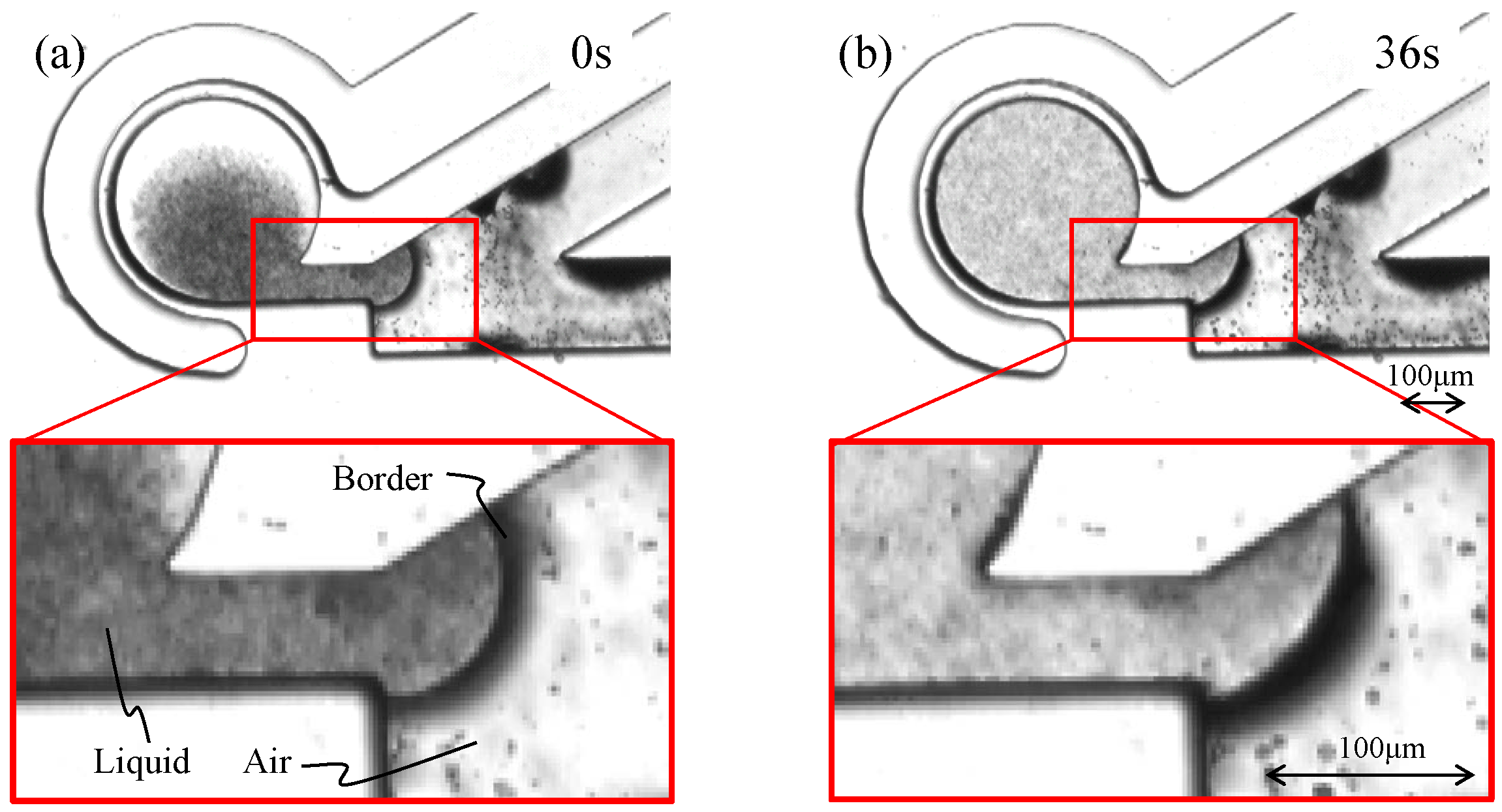 Micromachines 12 00217 g0a1