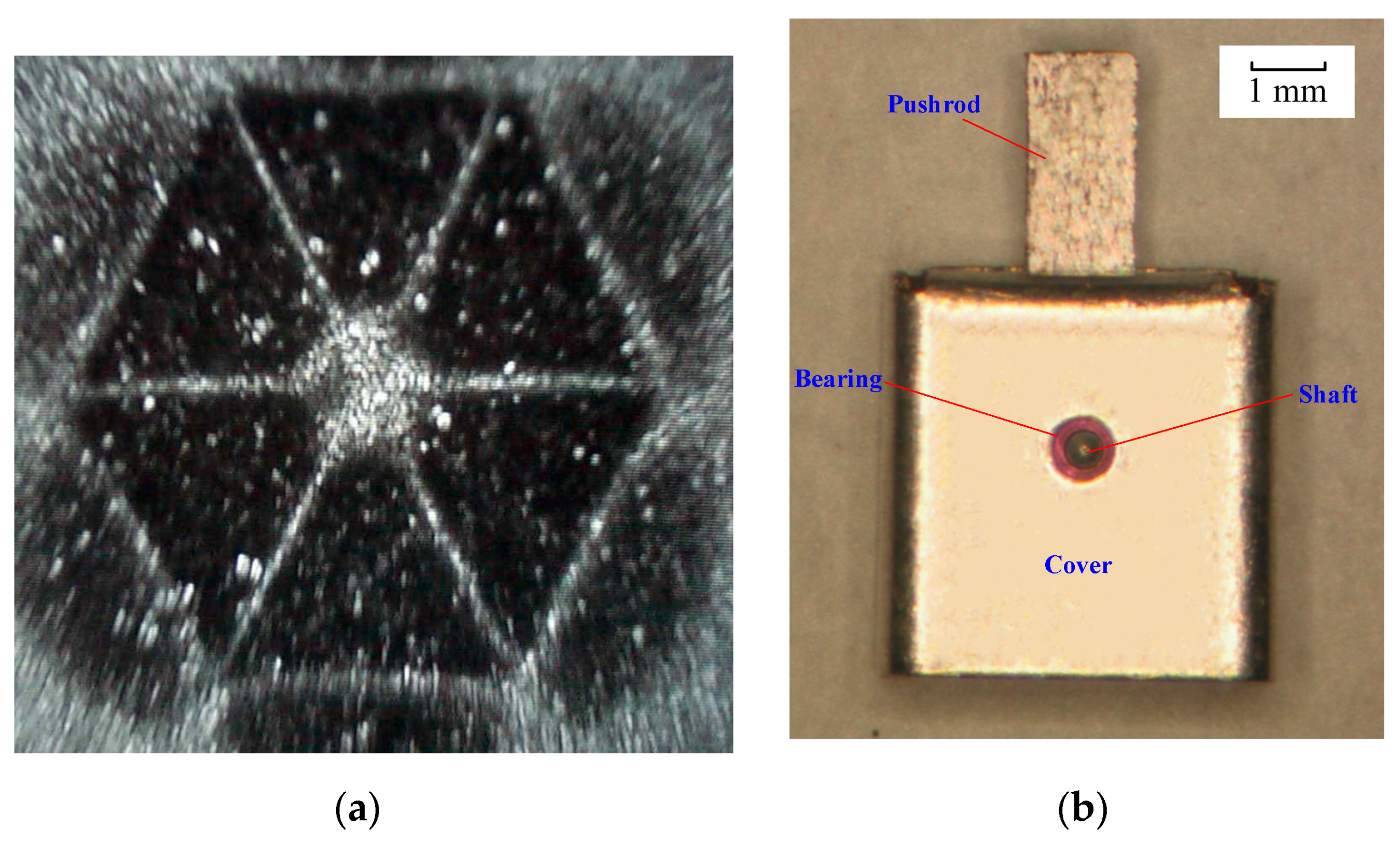 Micromachines 12 00221 g007