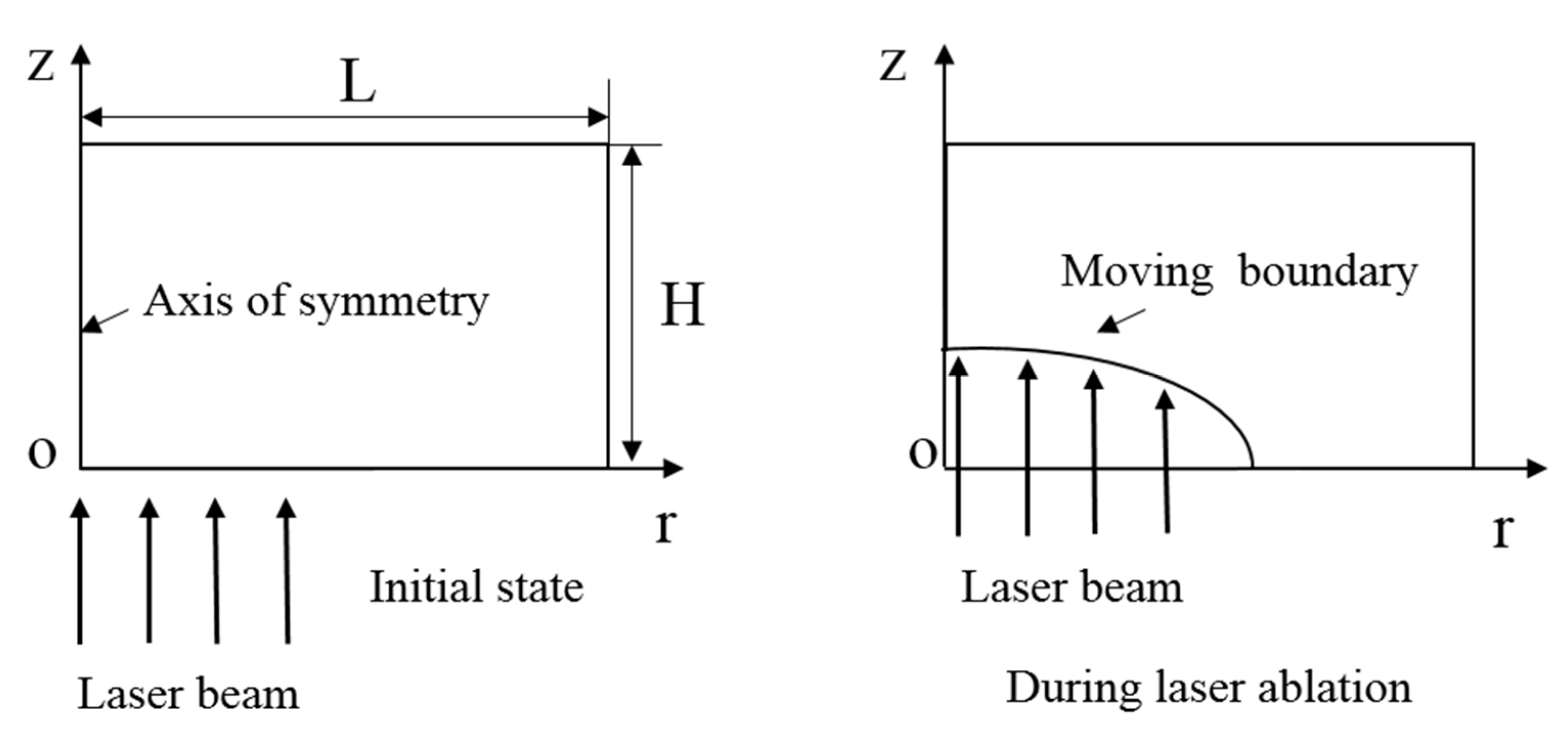 Micromachines 12 00225 g001