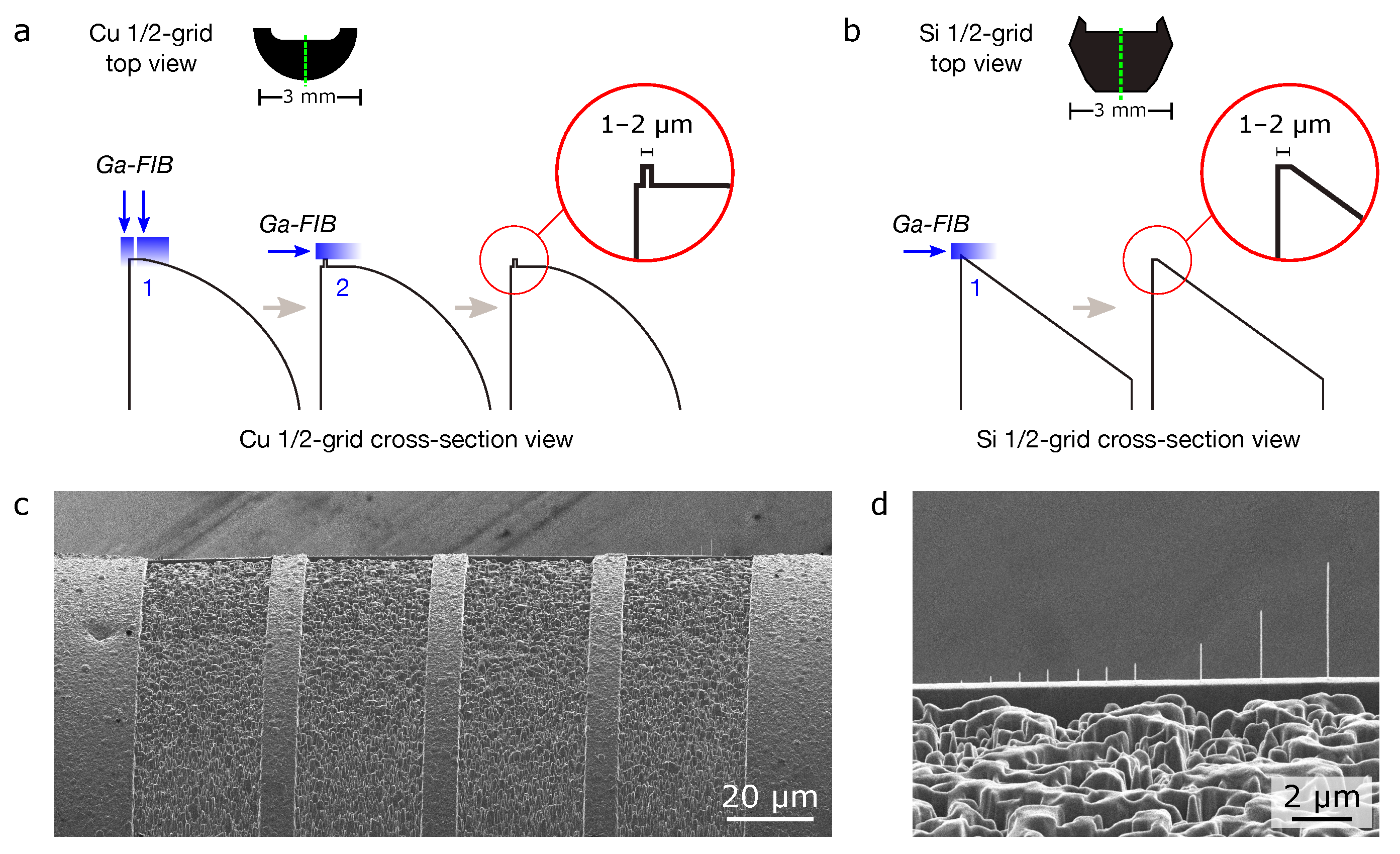 Micromachines 12 00232 g001 Micromachines 12 00232 g001