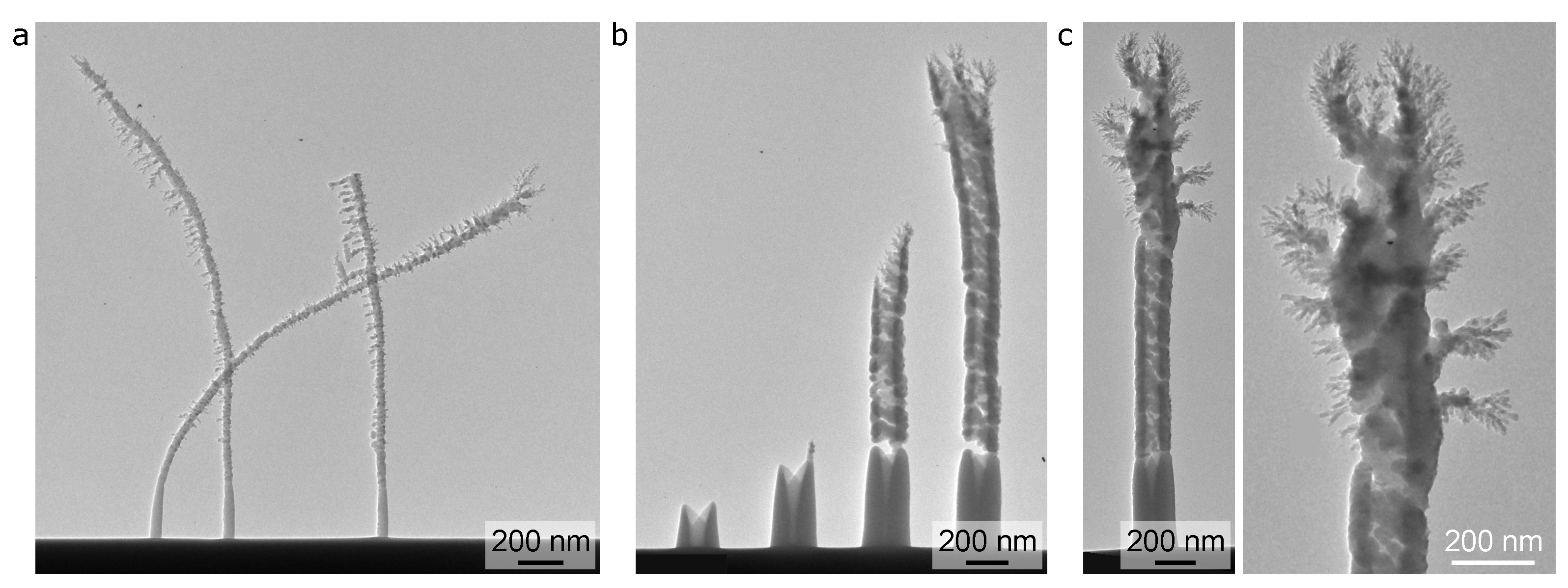 Micromachines 12 00232 g004 Micromachines 12 00232 g004