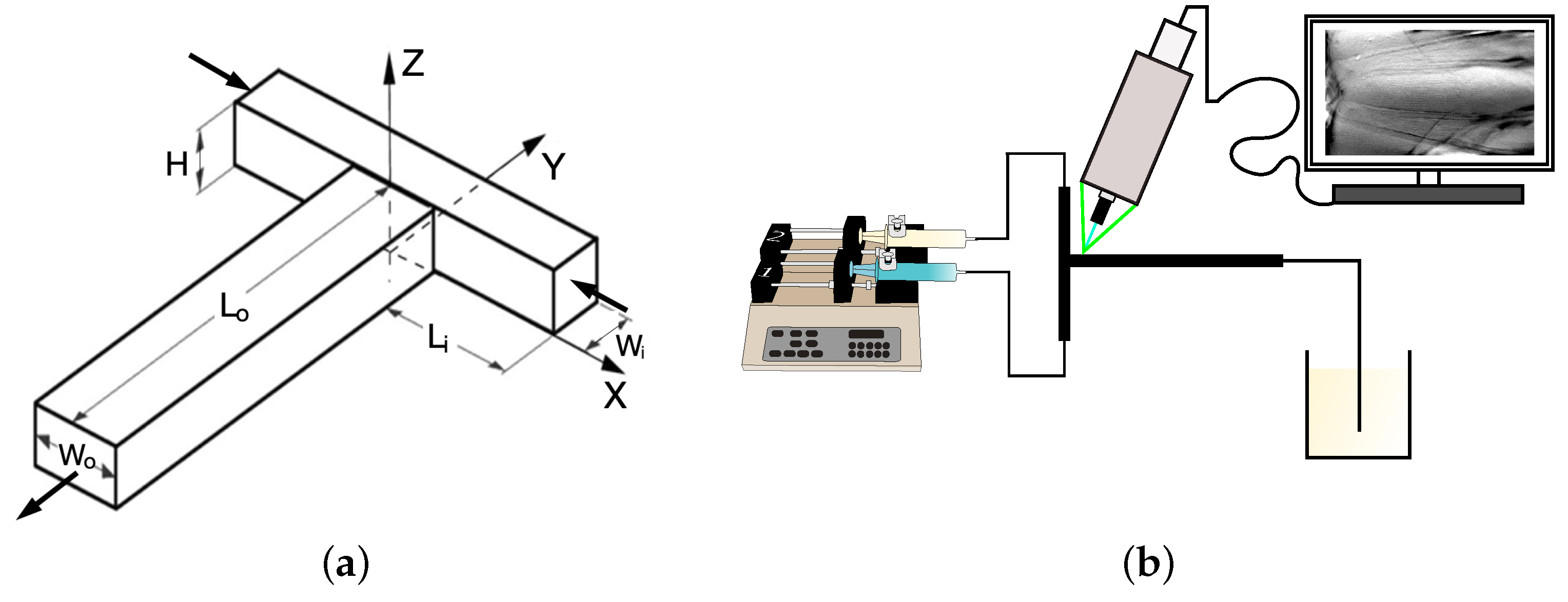 Micromachines 12 00242 g001
