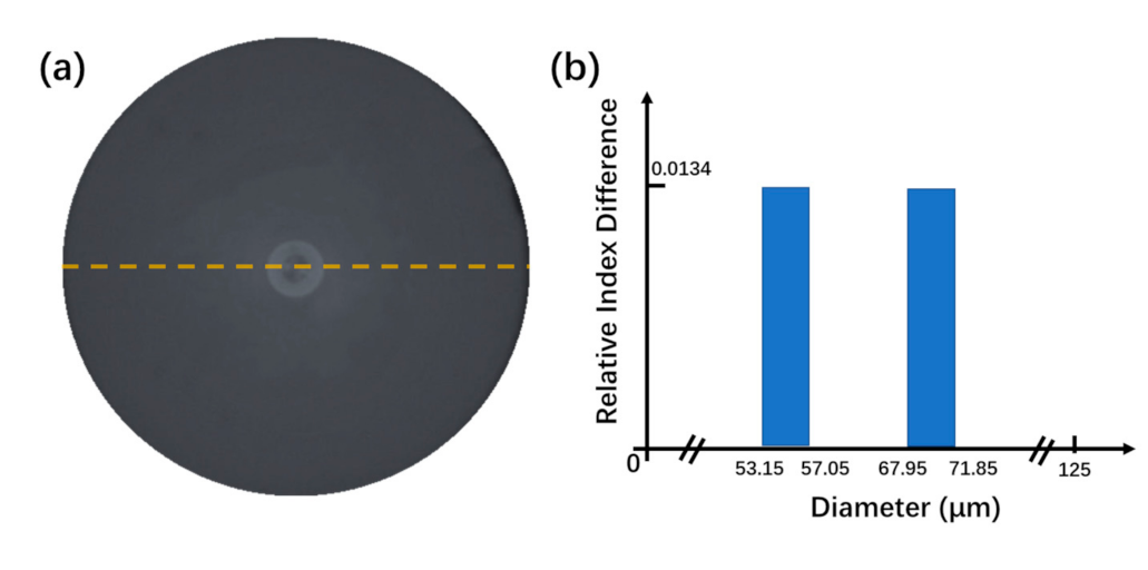 Micromachines 12 00258 g001