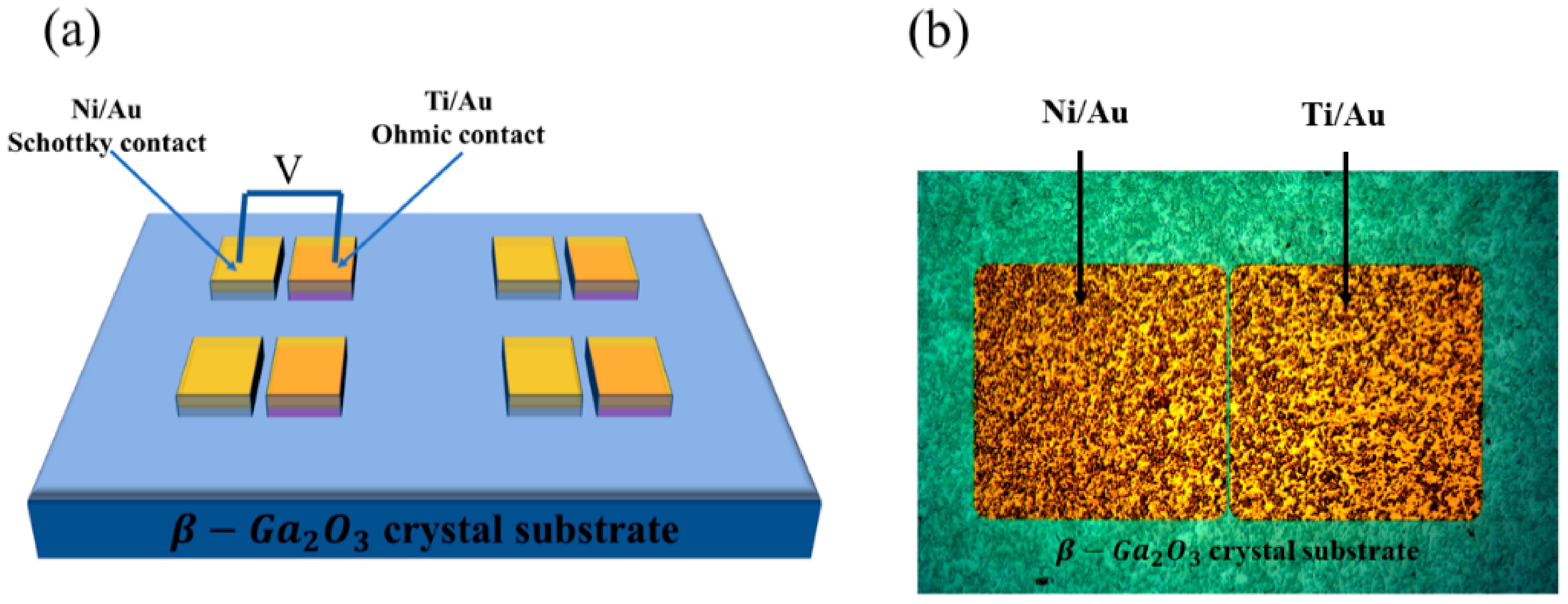 Micromachines 12 00259 g001