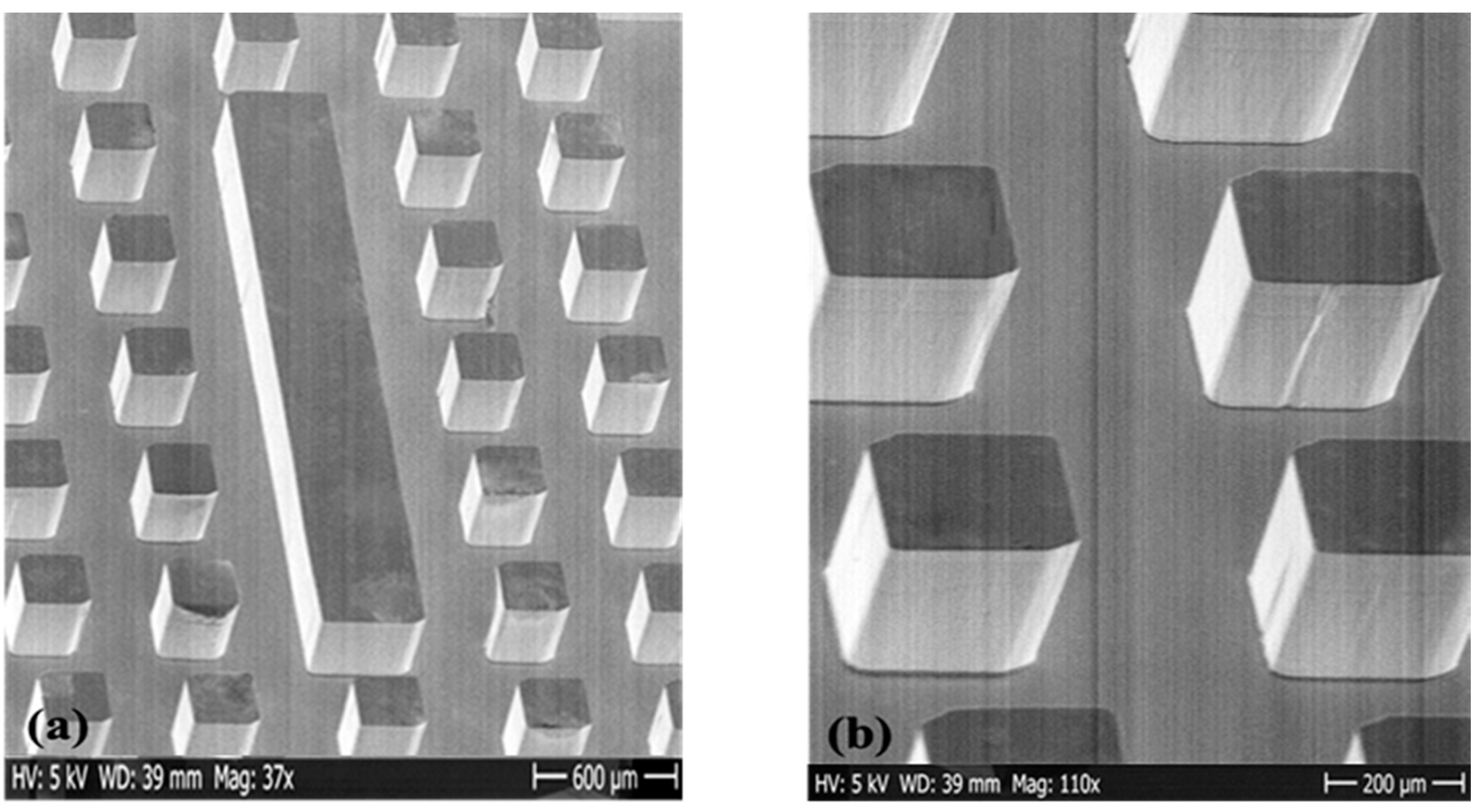 Micromachines 12 00260 g006