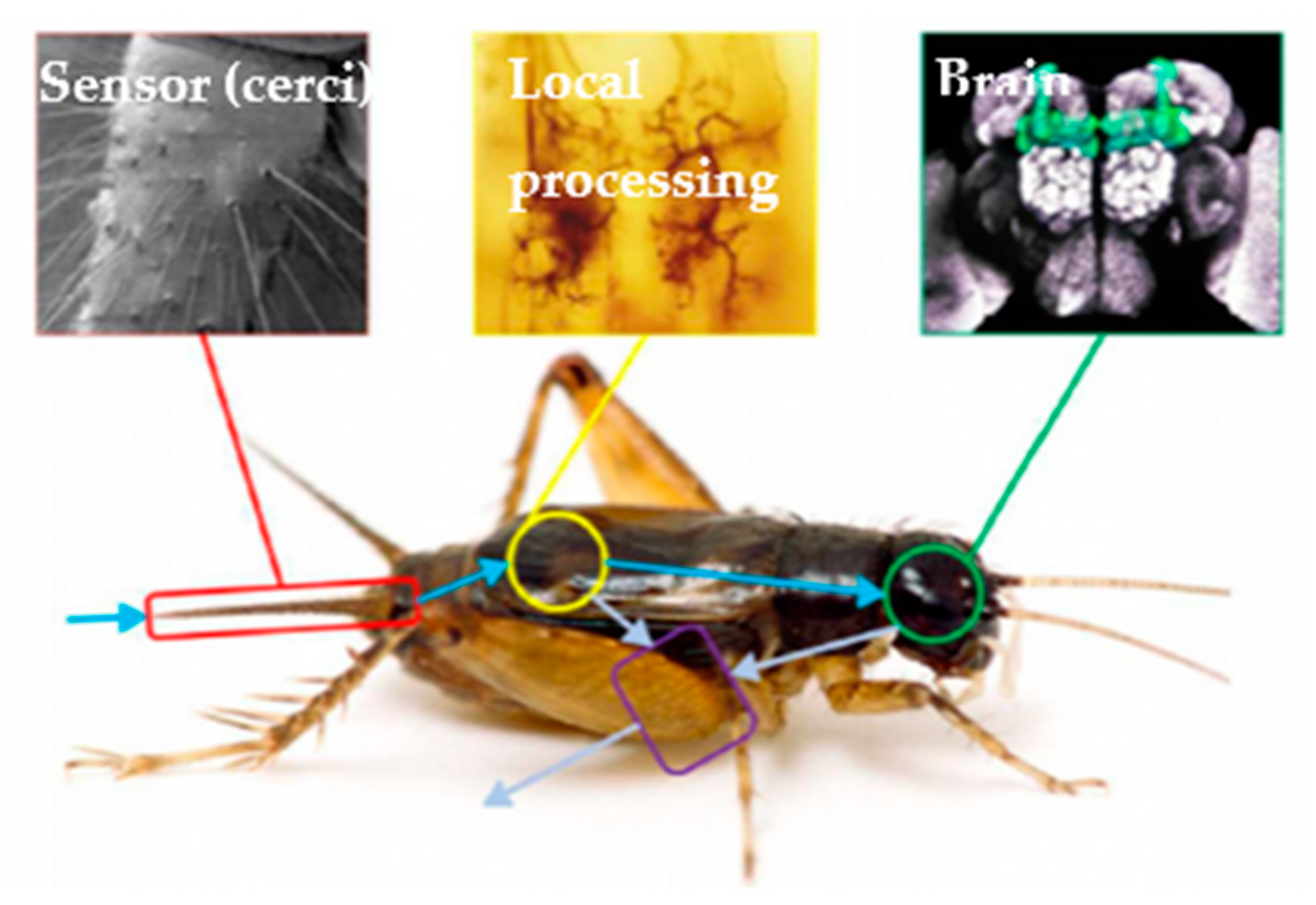 Micromachines 12 00268 g001