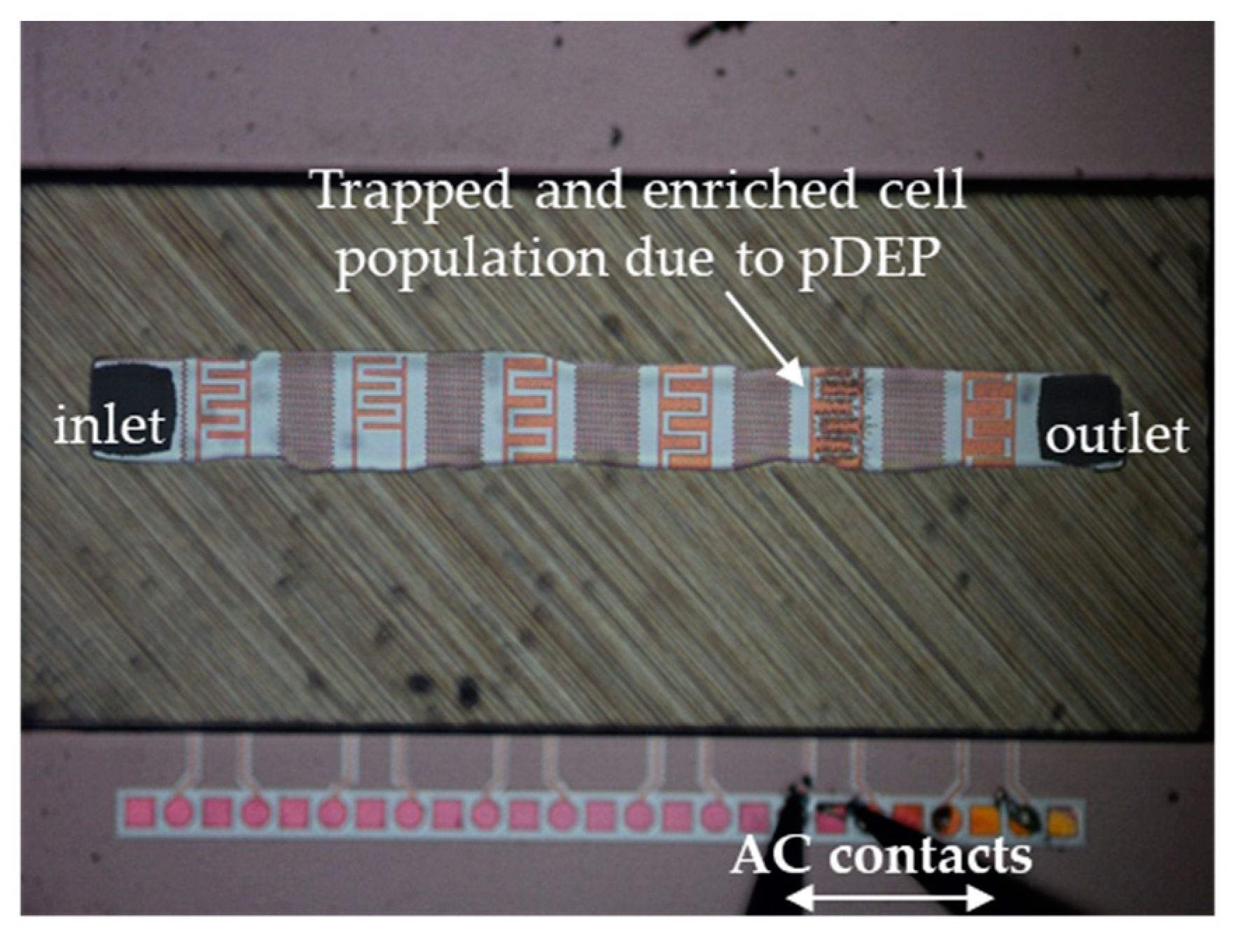 Micromachines 12 00270 g002