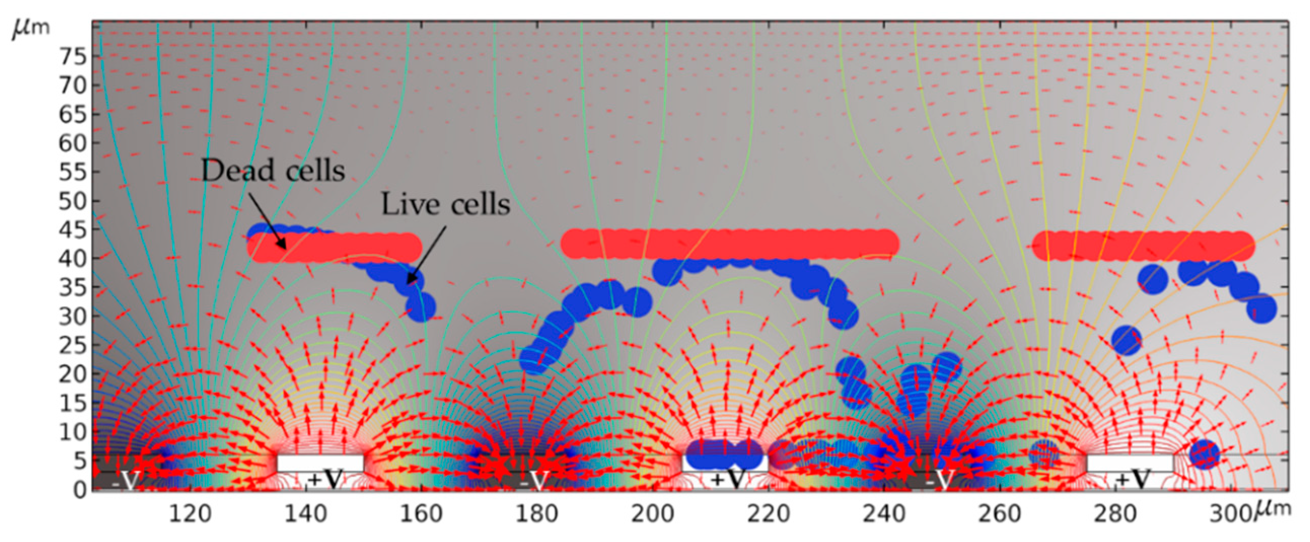 Micromachines 12 00270 g004