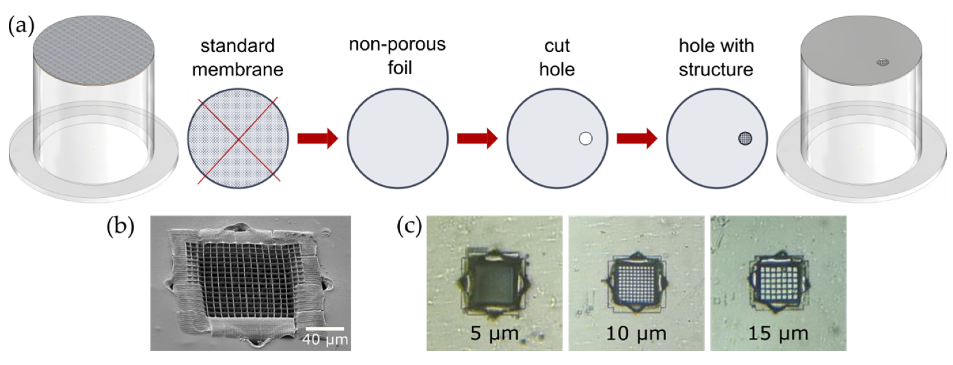 Micromachines 12 00273 g001