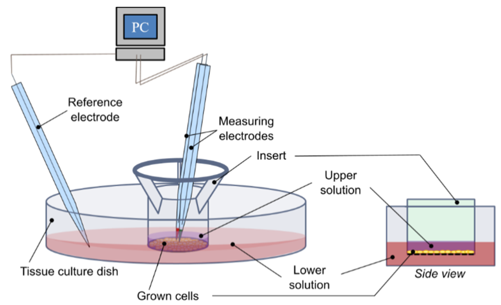 Micromachines 12 00273 g002