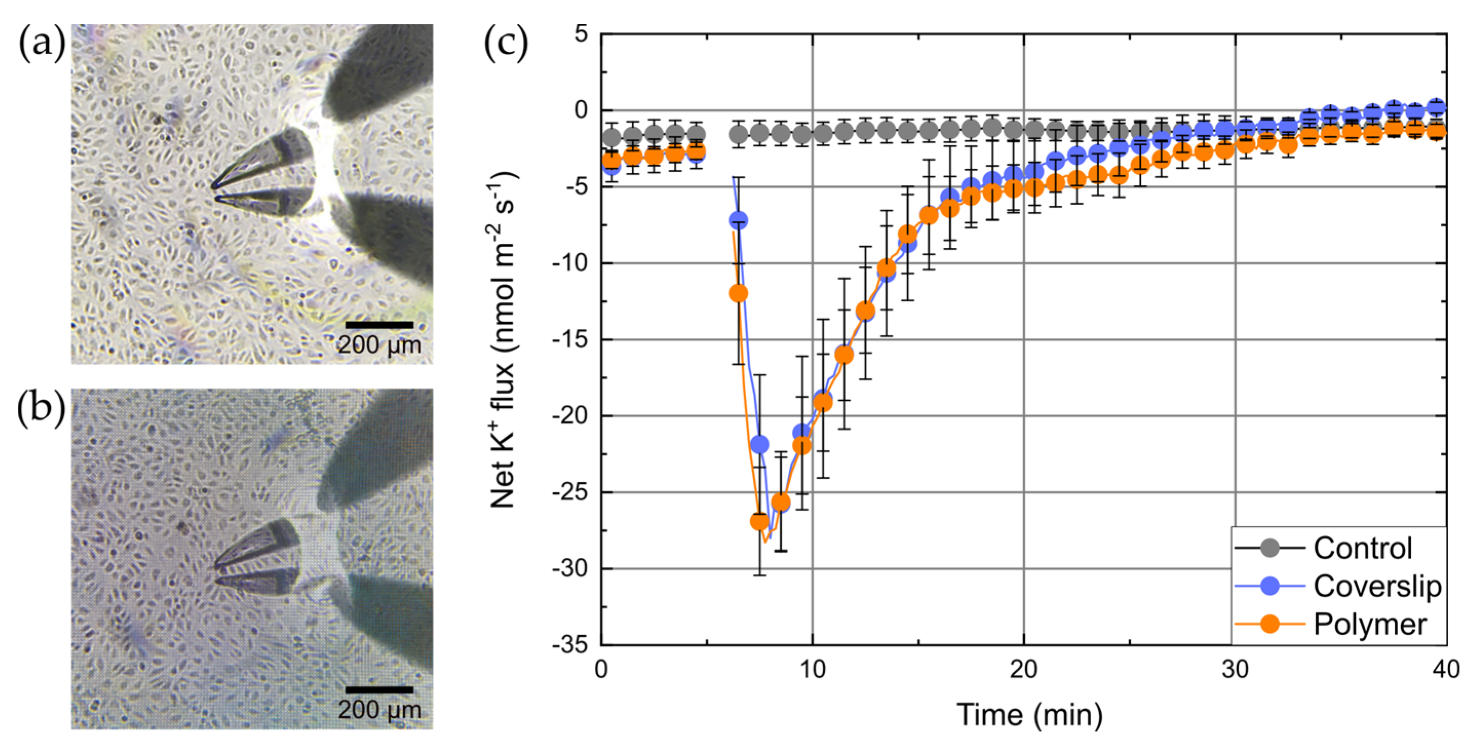 Micromachines 12 00273 g003