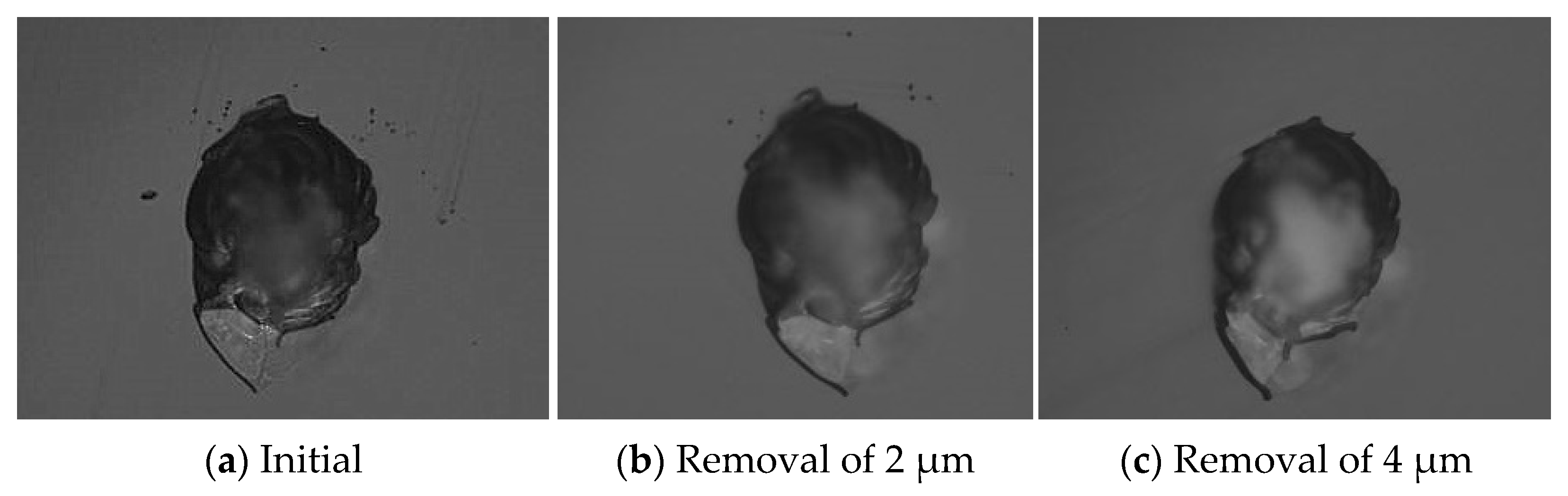 Micromachines 12 00274 g005 Micromachines 12 00274 g005