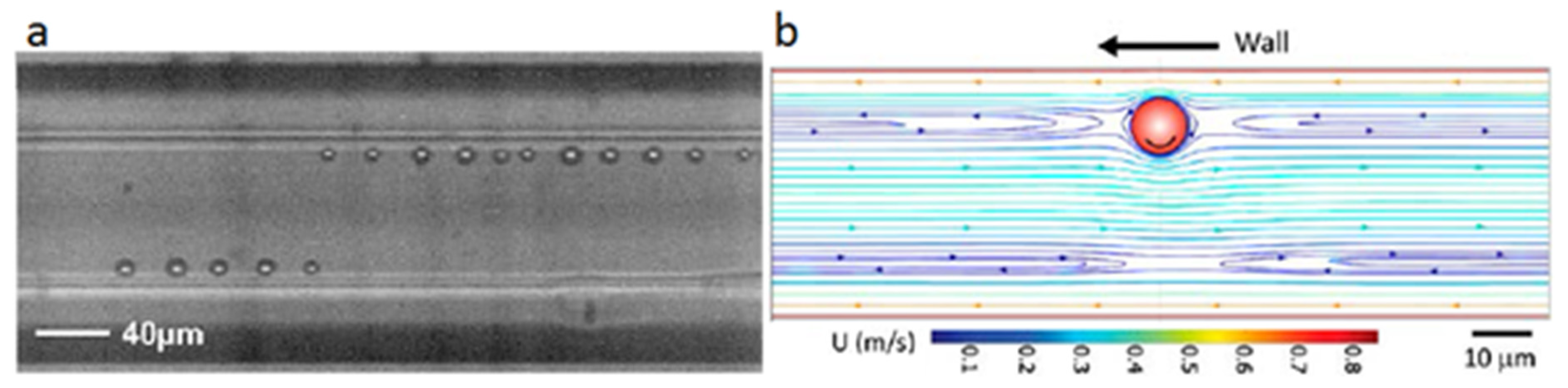Micromachines 12 00277 g007 Micromachines 12 00277 g007