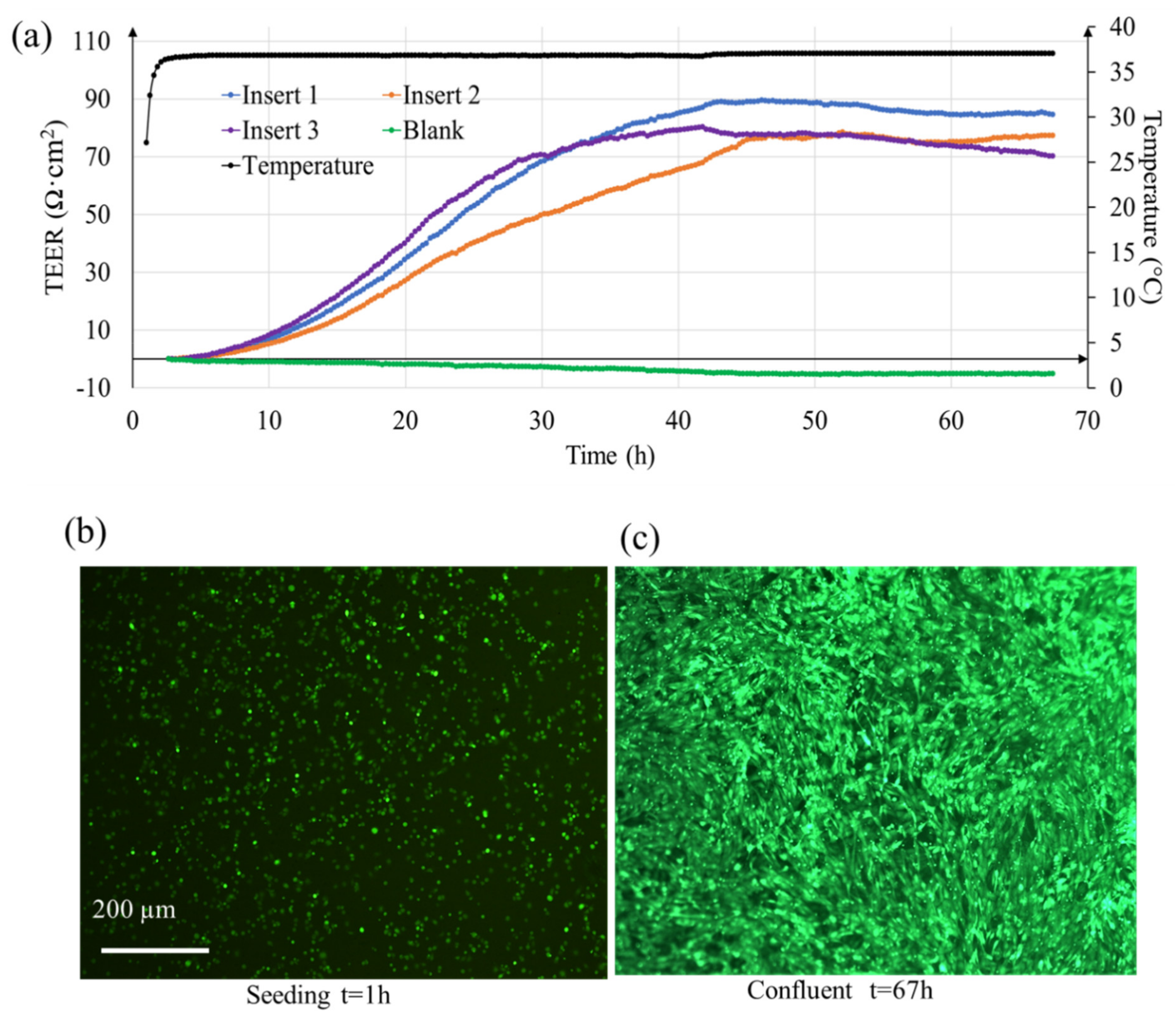 Micromachines 12 00282 g004