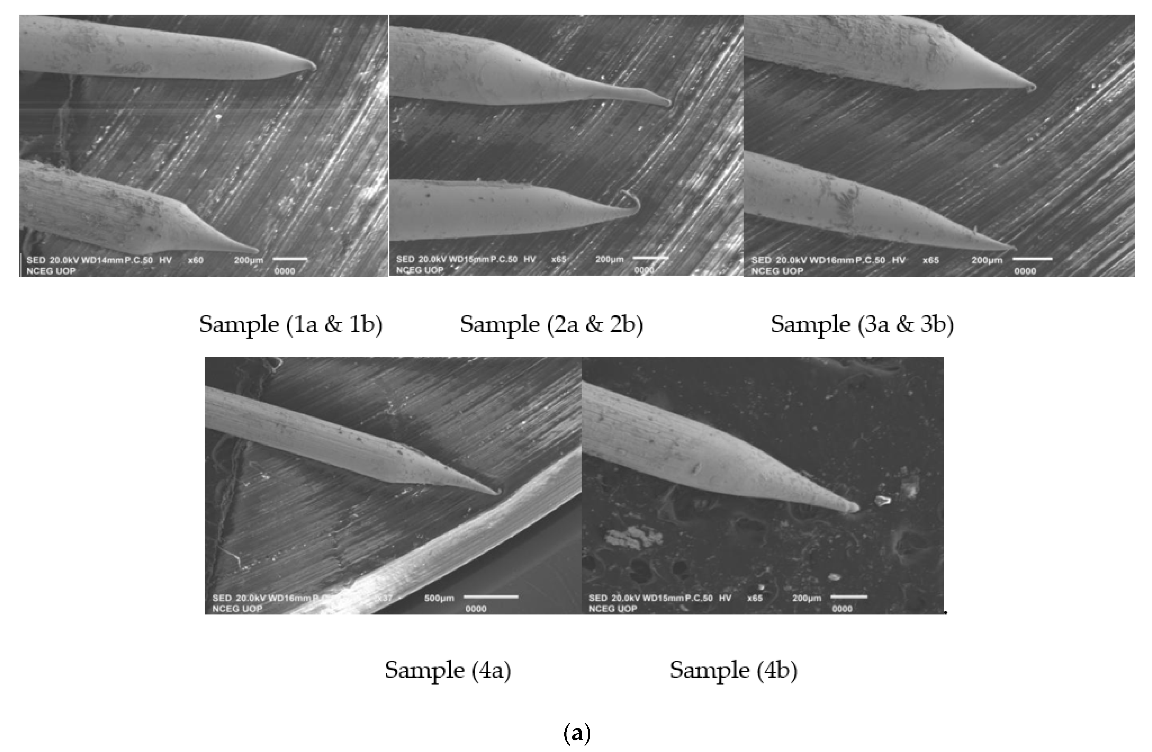 Micromachines 12 00286 g004a Micromachines 12 00286 g004a