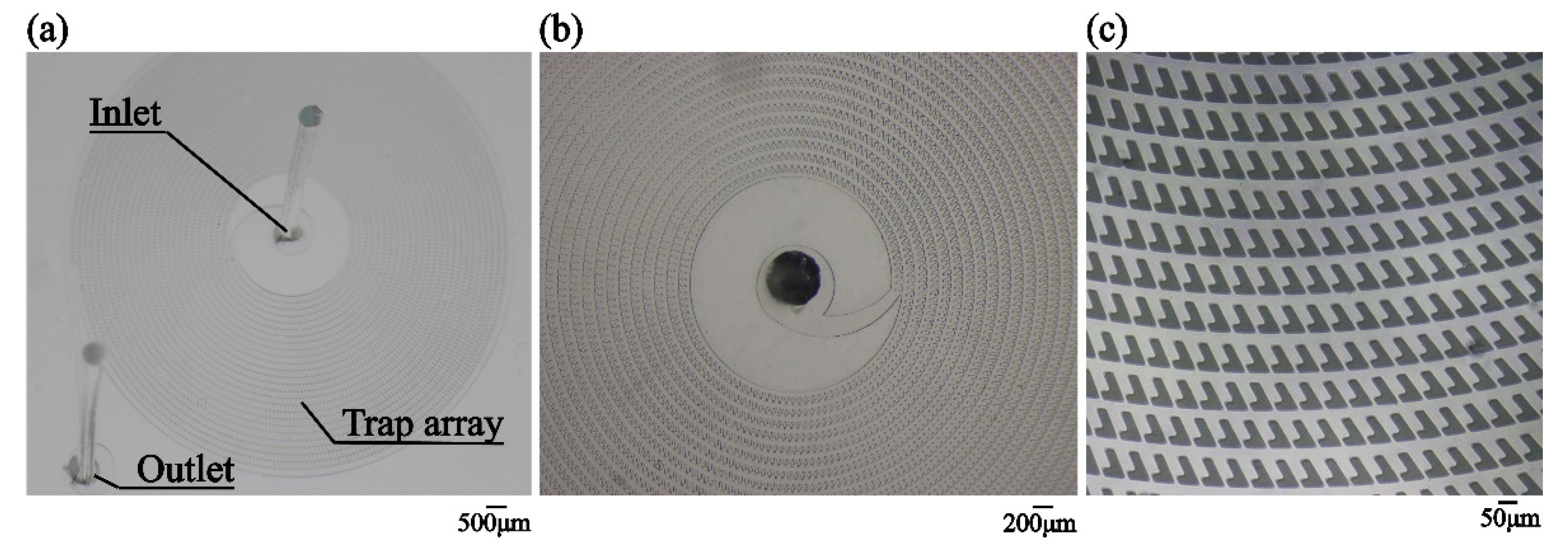 Micromachines 12 00288 g003