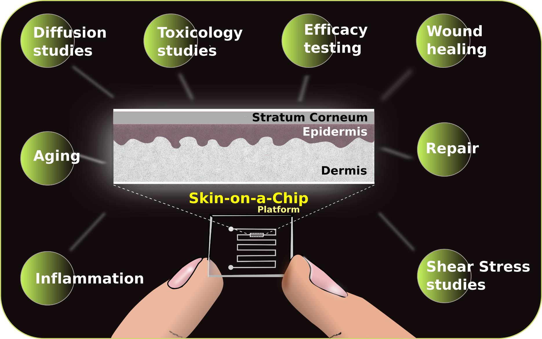 da diffusion swiss anti aging