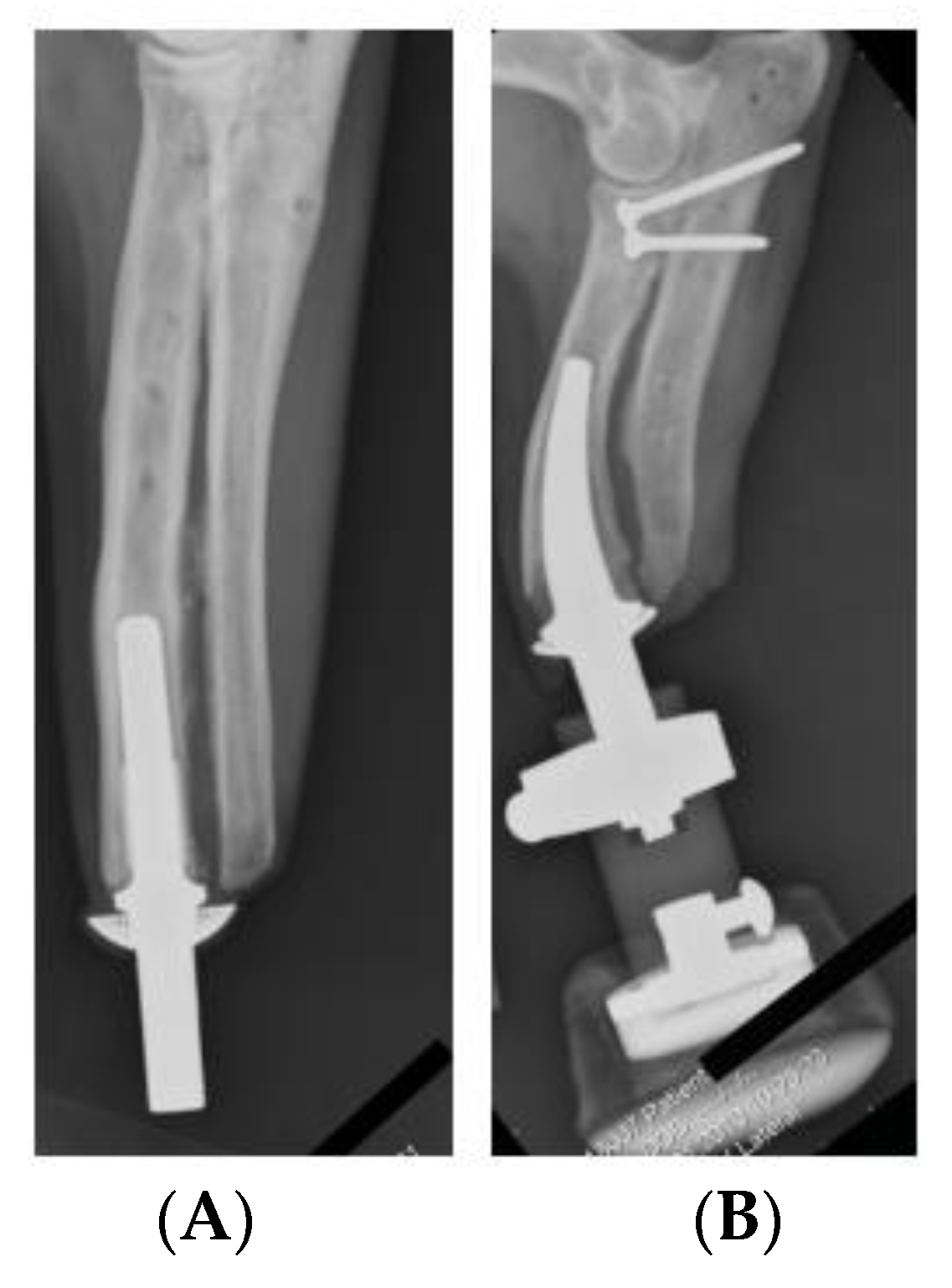 Micromachines 12 00298 g002 Micromachines 12 00298 g002