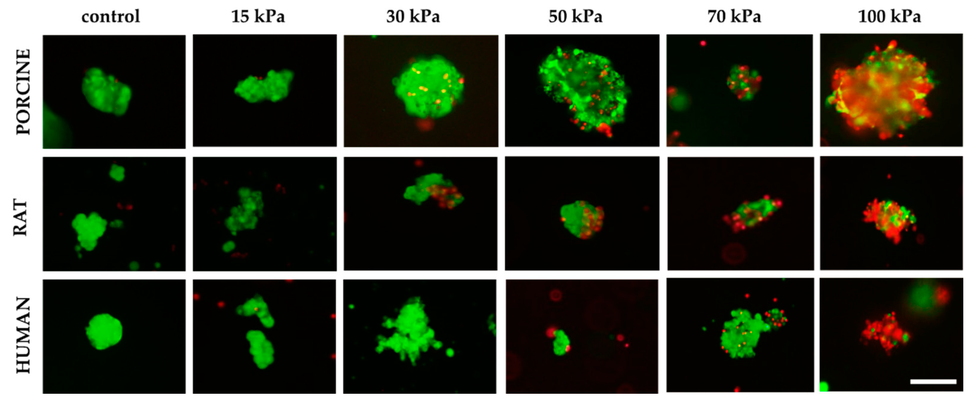 Micromachines 12 00304 g008 Micromachines 12 00304 g008