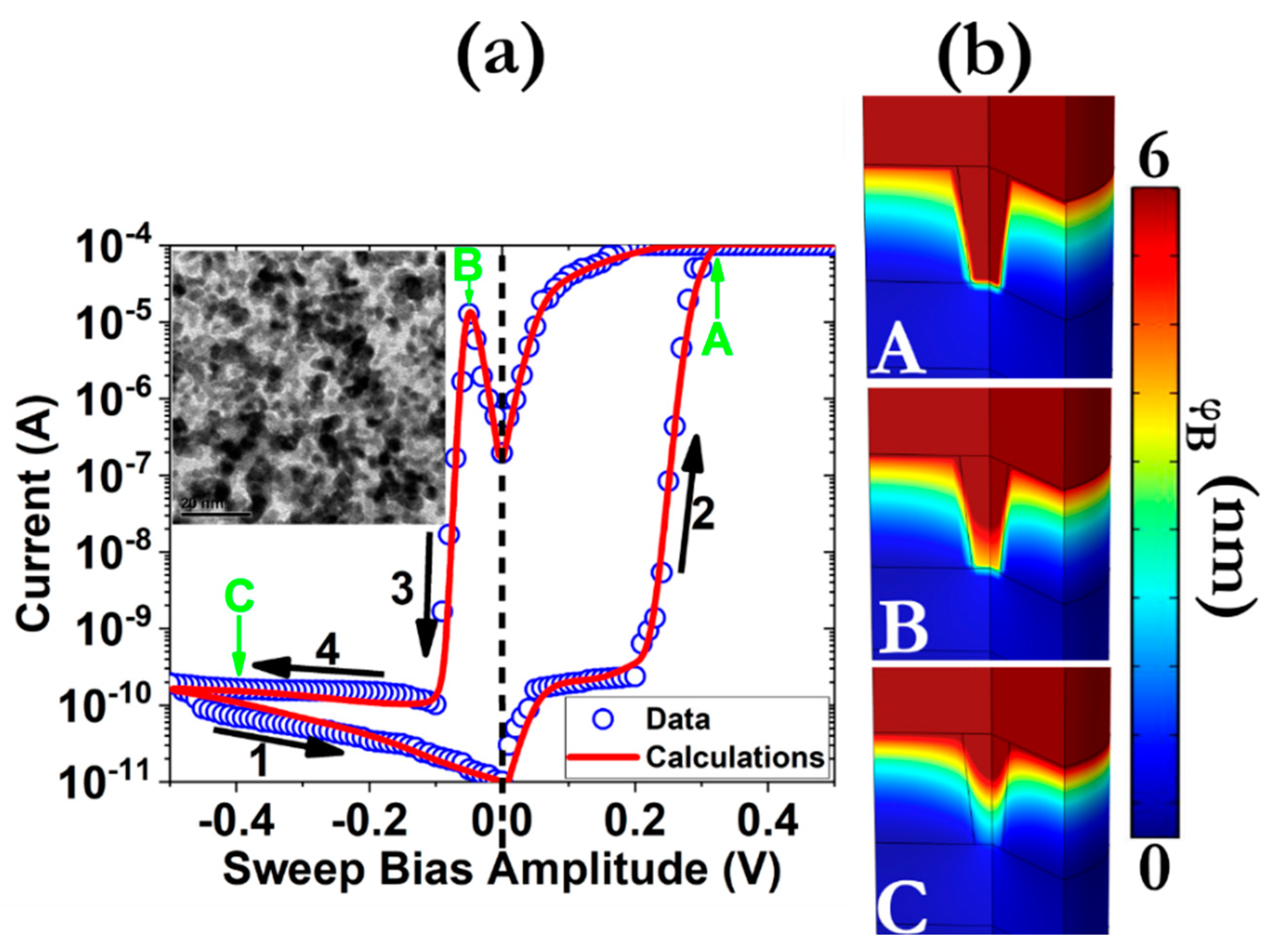 Physically defined long-term and short-term synapses for the development of  reconfigurable analog-type operators capable of performing health care  tasks