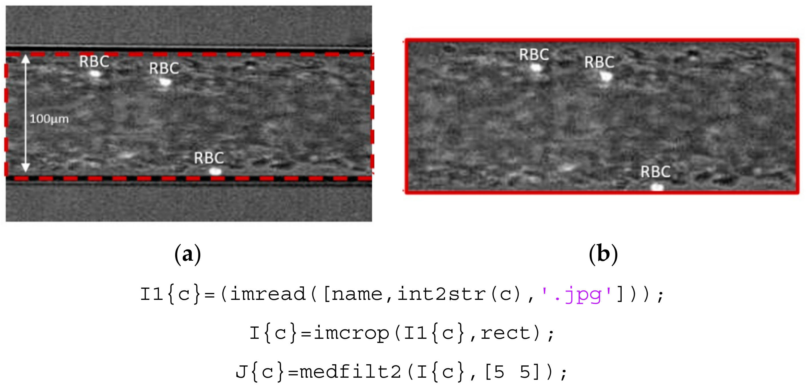 Micromachines 12 00317 g003 Micromachines 12 00317 g003