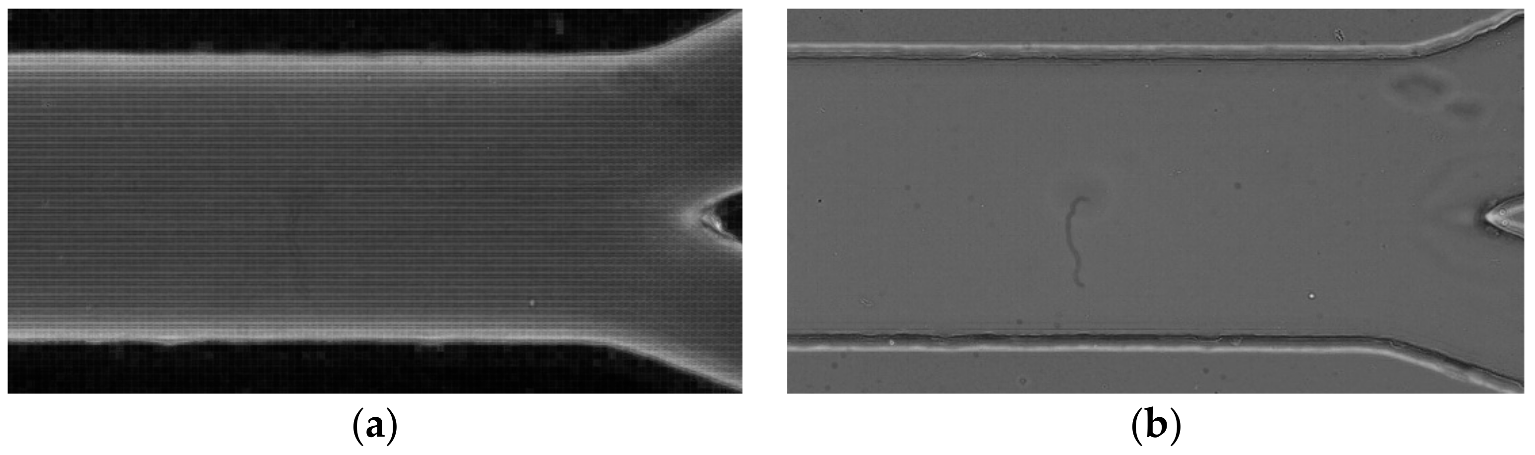 Micromachines 12 00317 g011 Micromachines 12 00317 g011