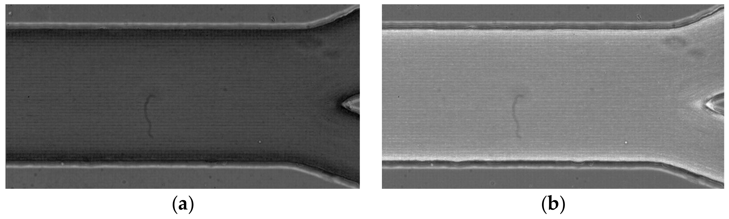 Micromachines 12 00317 g012 Micromachines 12 00317 g012
