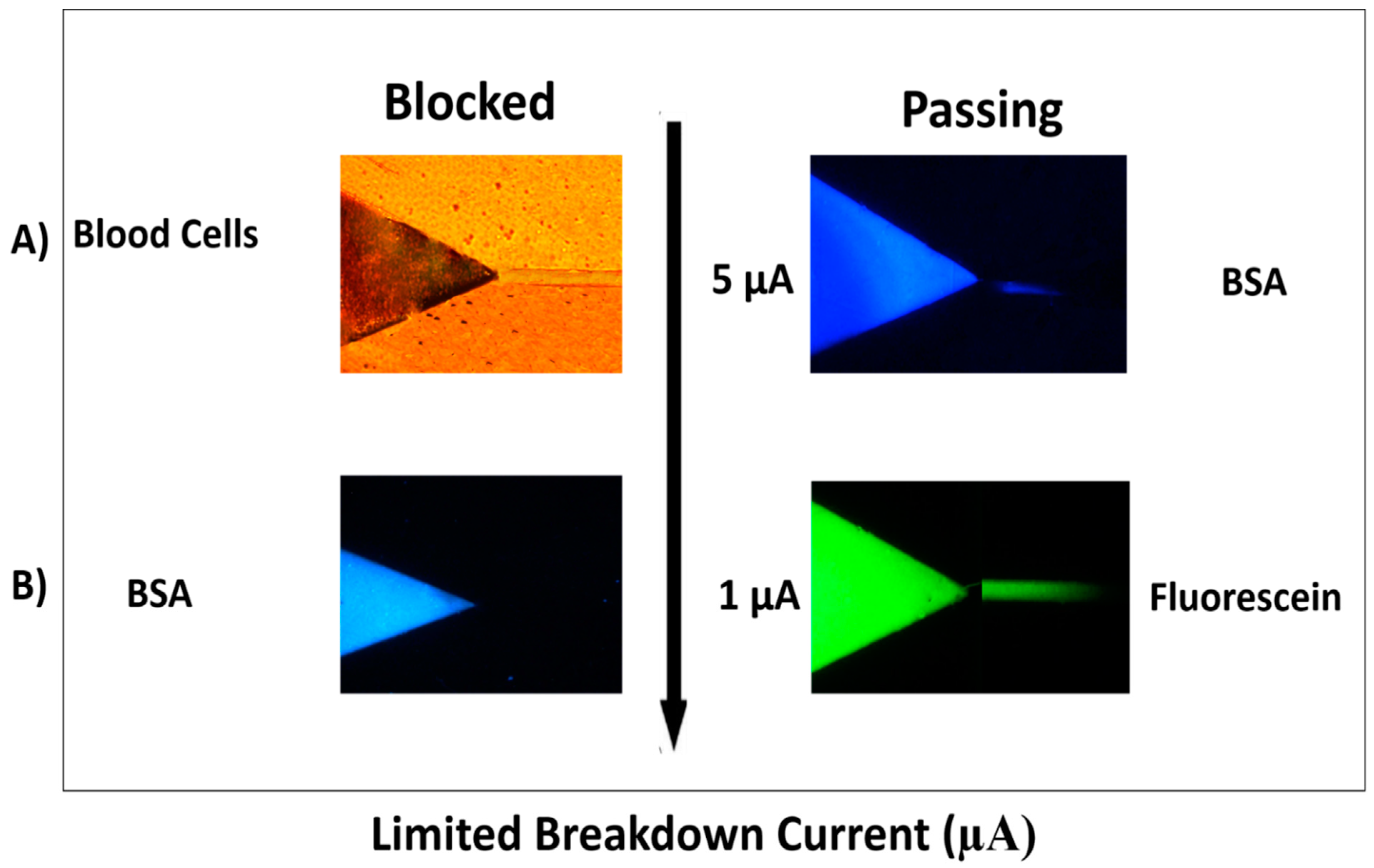 Micromachines 12 00336 g003